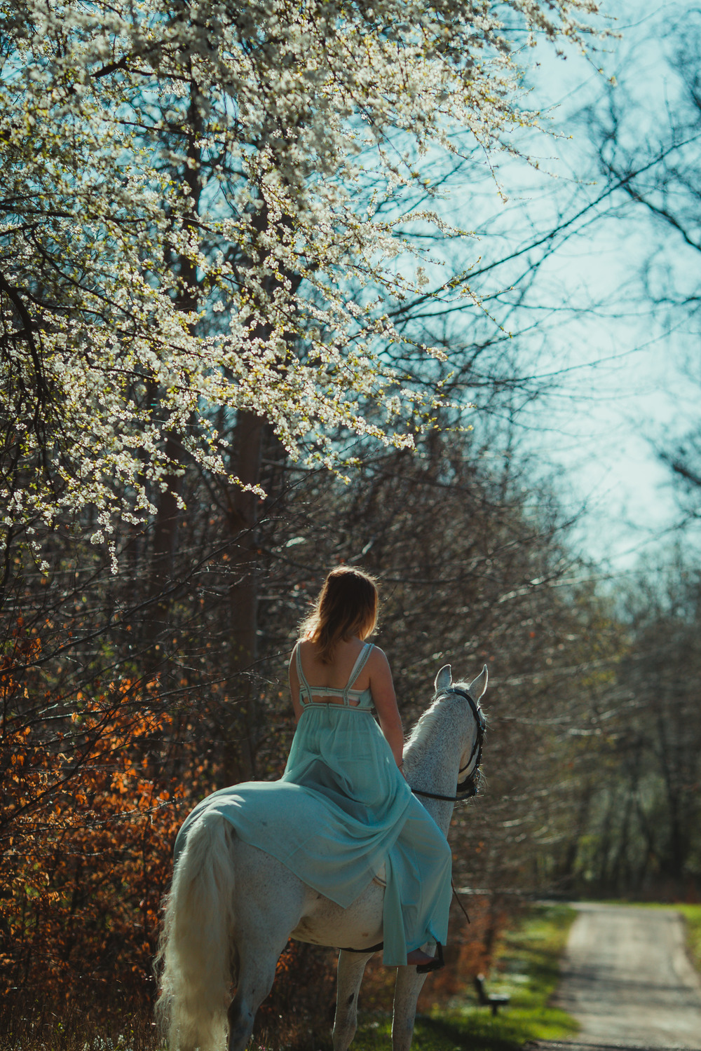 white-horse-photography-pretty-dress-sara-kroell-andersen03