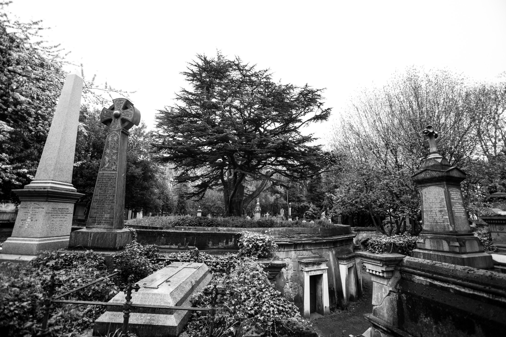 life-among-graves-highgate-cemetery