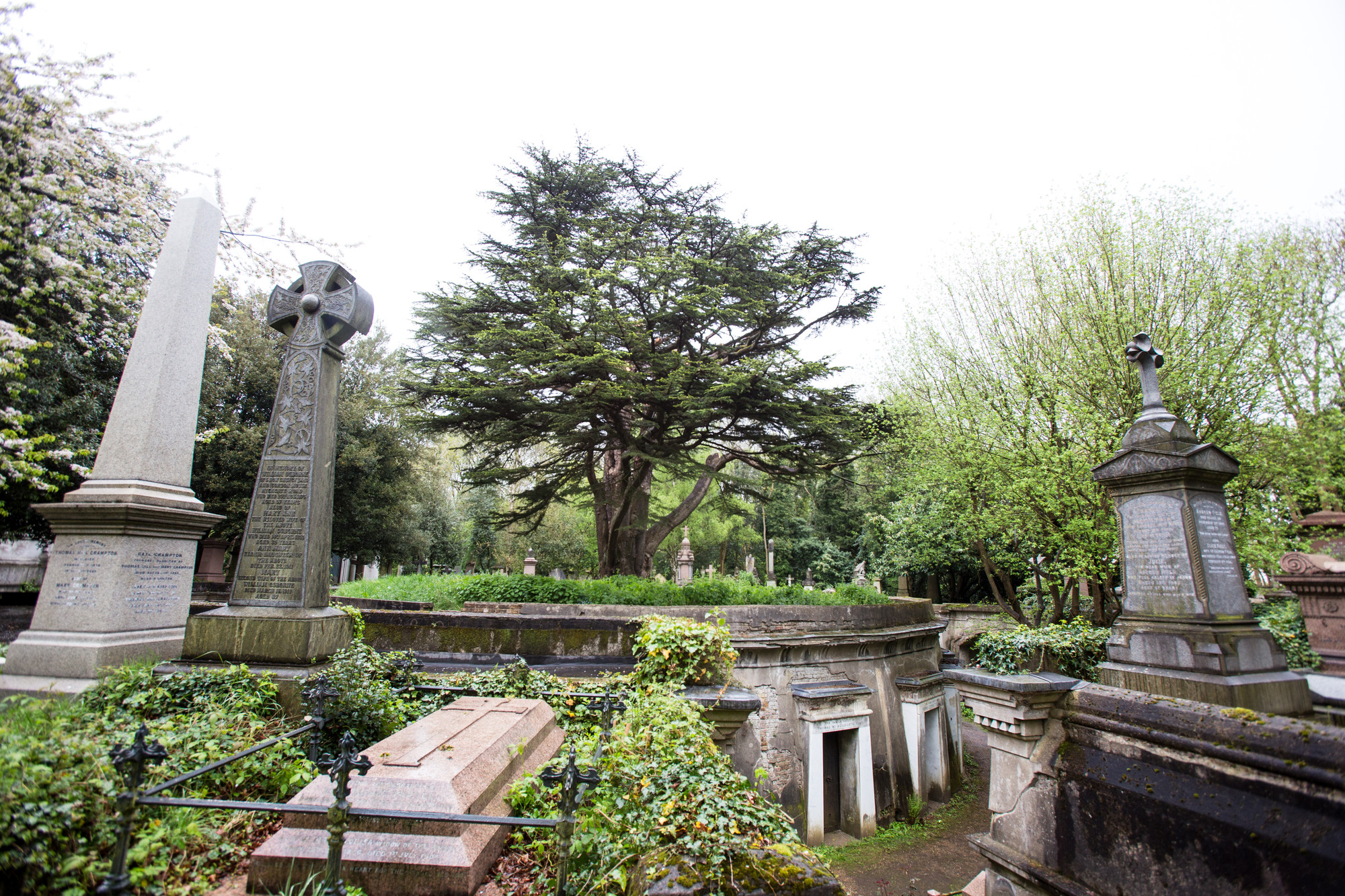 tree-of-life-highgate-cemetery