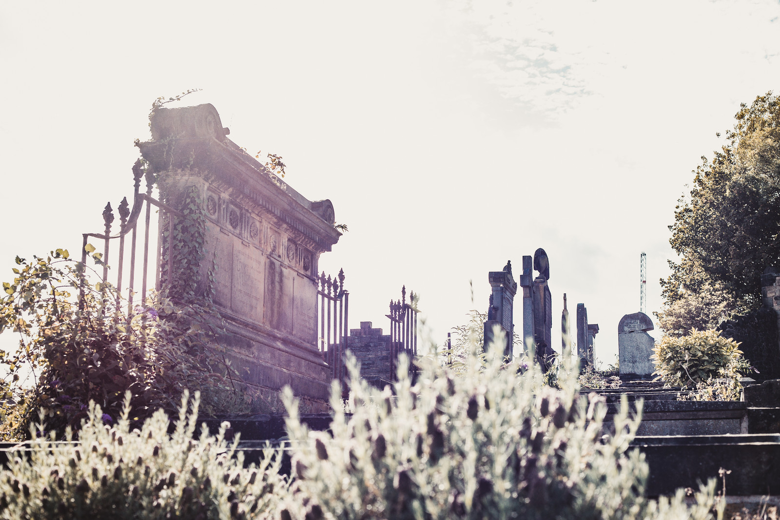 edinburgh-graveyard-cemetery
