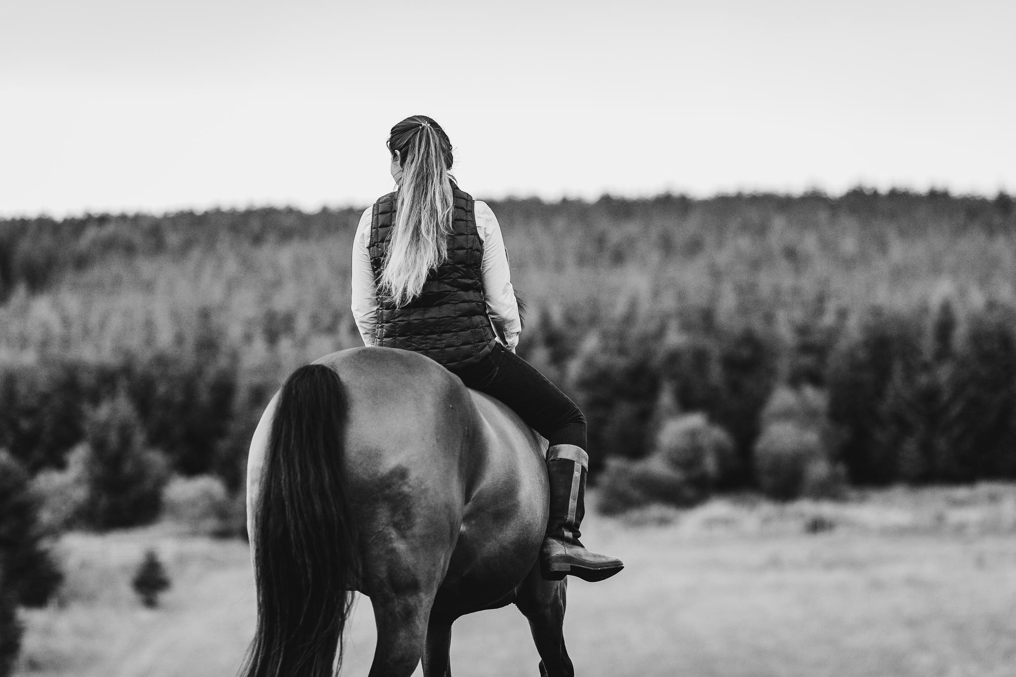 epic-horse-photography-equine-scotland078