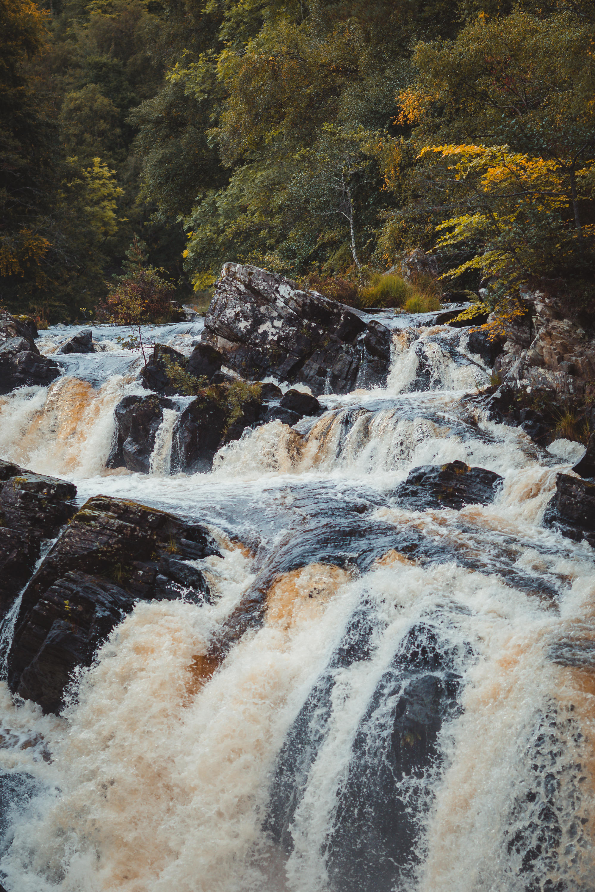 black-isle-fortrose-waterfalls-fairy-glen-19