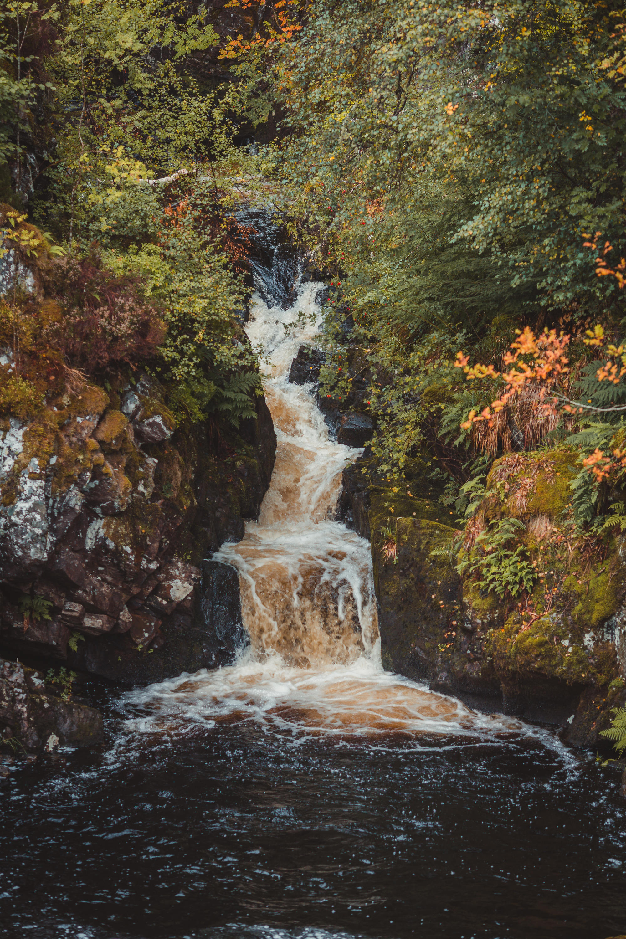 black-isle-fortrose-waterfalls-fairy-glen-20