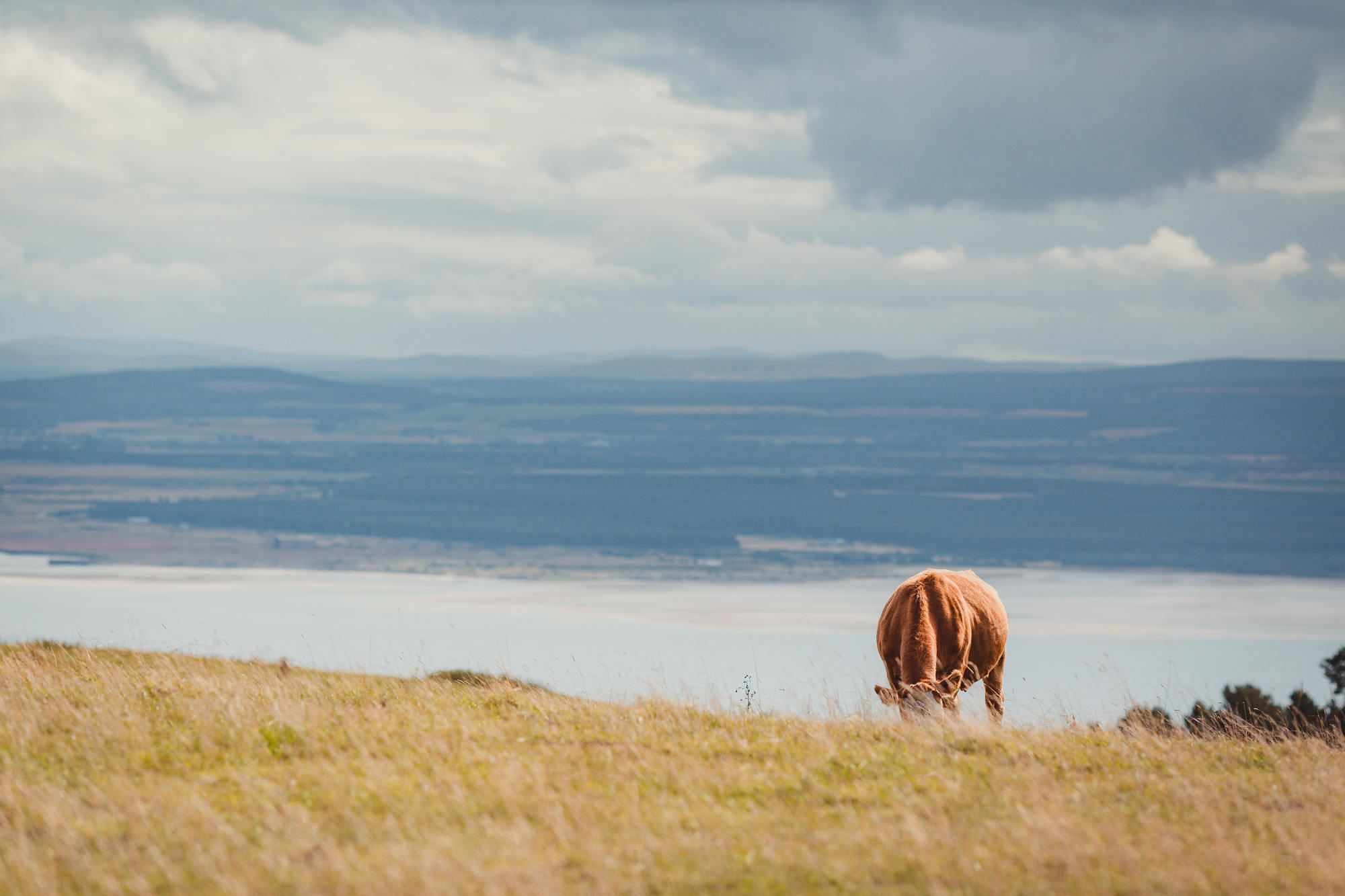 scotland-landscape-photography-moray-firth-31