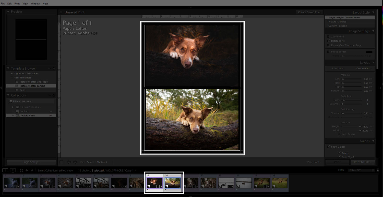 before-and-after-exporting-in-lightroom-04