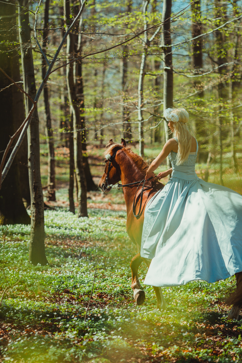 fairytale-horse-photography-cecilie-thorud02