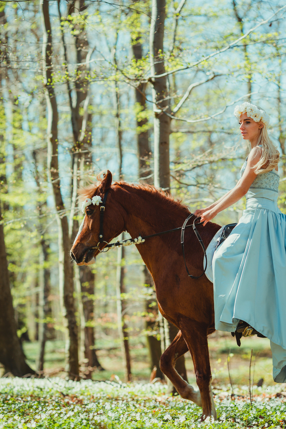 fairytale-horse-photography-cecilie-thorud03