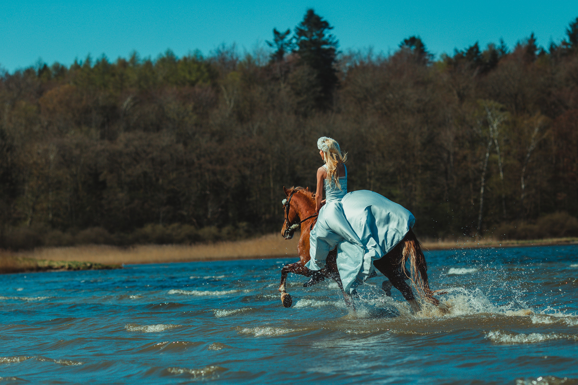 fairytale-horse-photography-cecilie-thorud13