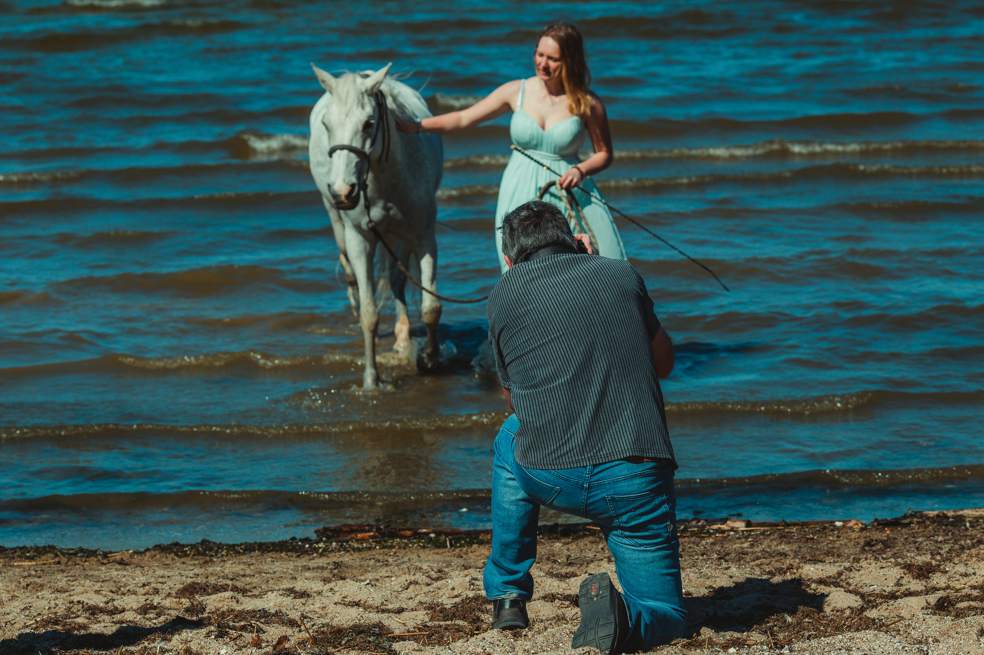 horse-photography-beach