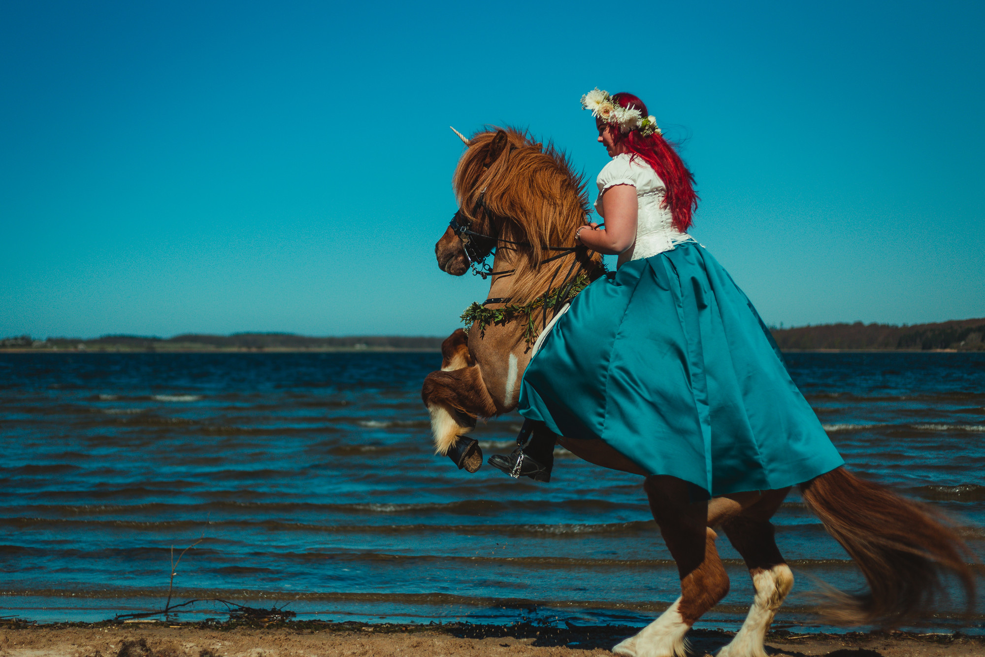 icelandic-horse-beach-equus-sanus-frederikke-bjoernbirk-02