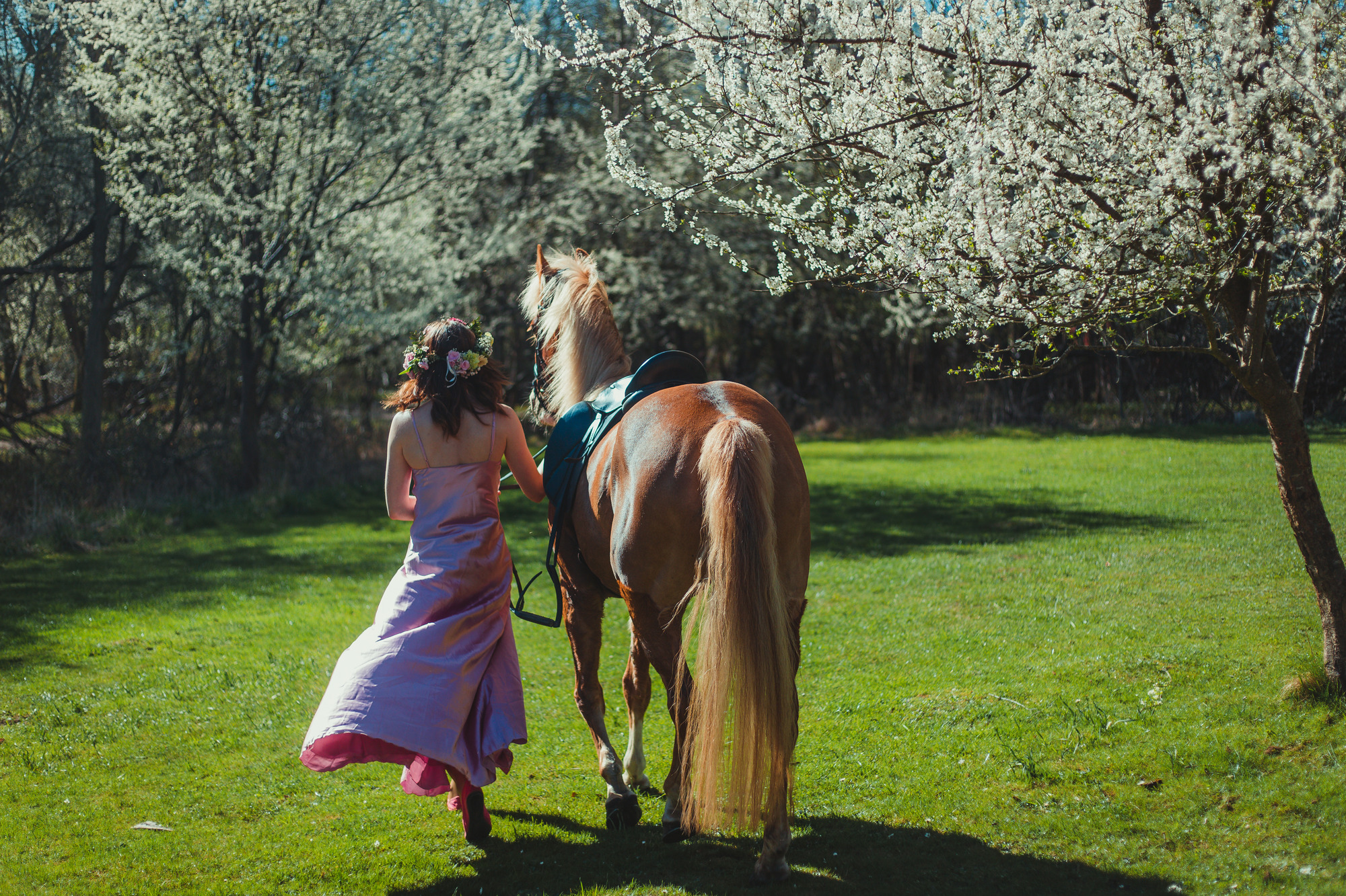 spring-horse-pretty-dress