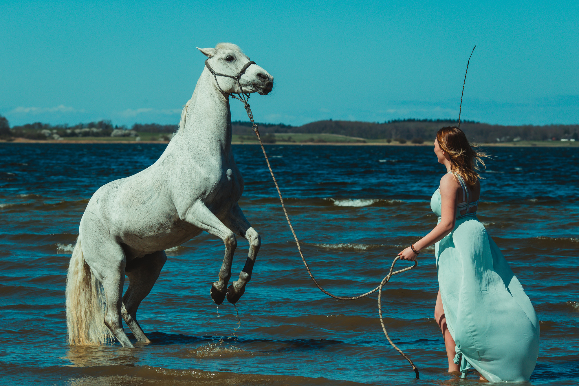 white-horse-photography-pretty-dress-sara-kroell-andersen14