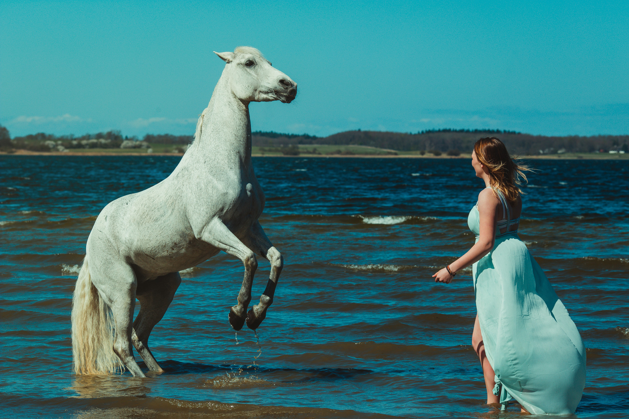 horse-photography-on-the-beach