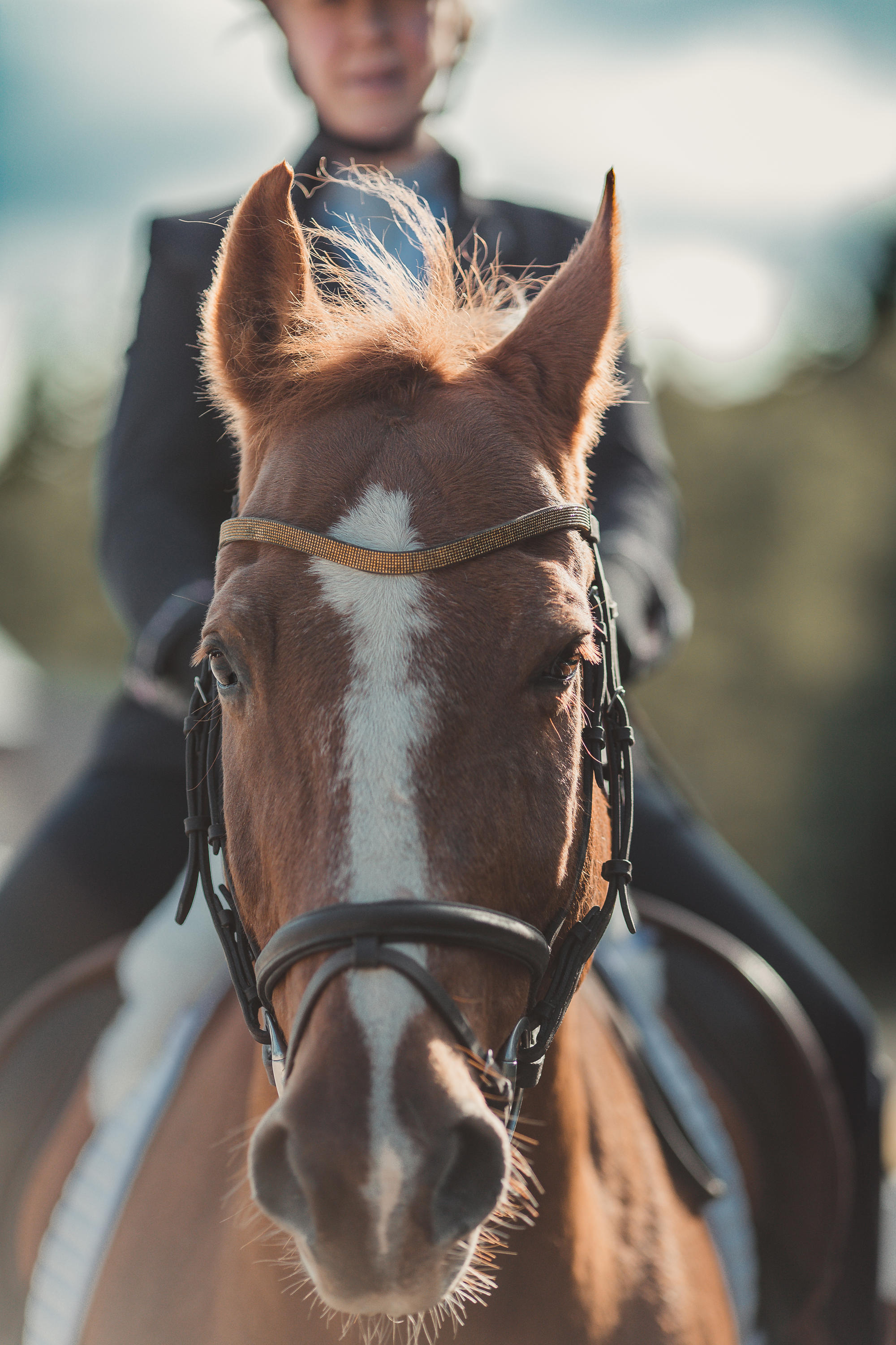 epic-horse-photography-equine-scotland020