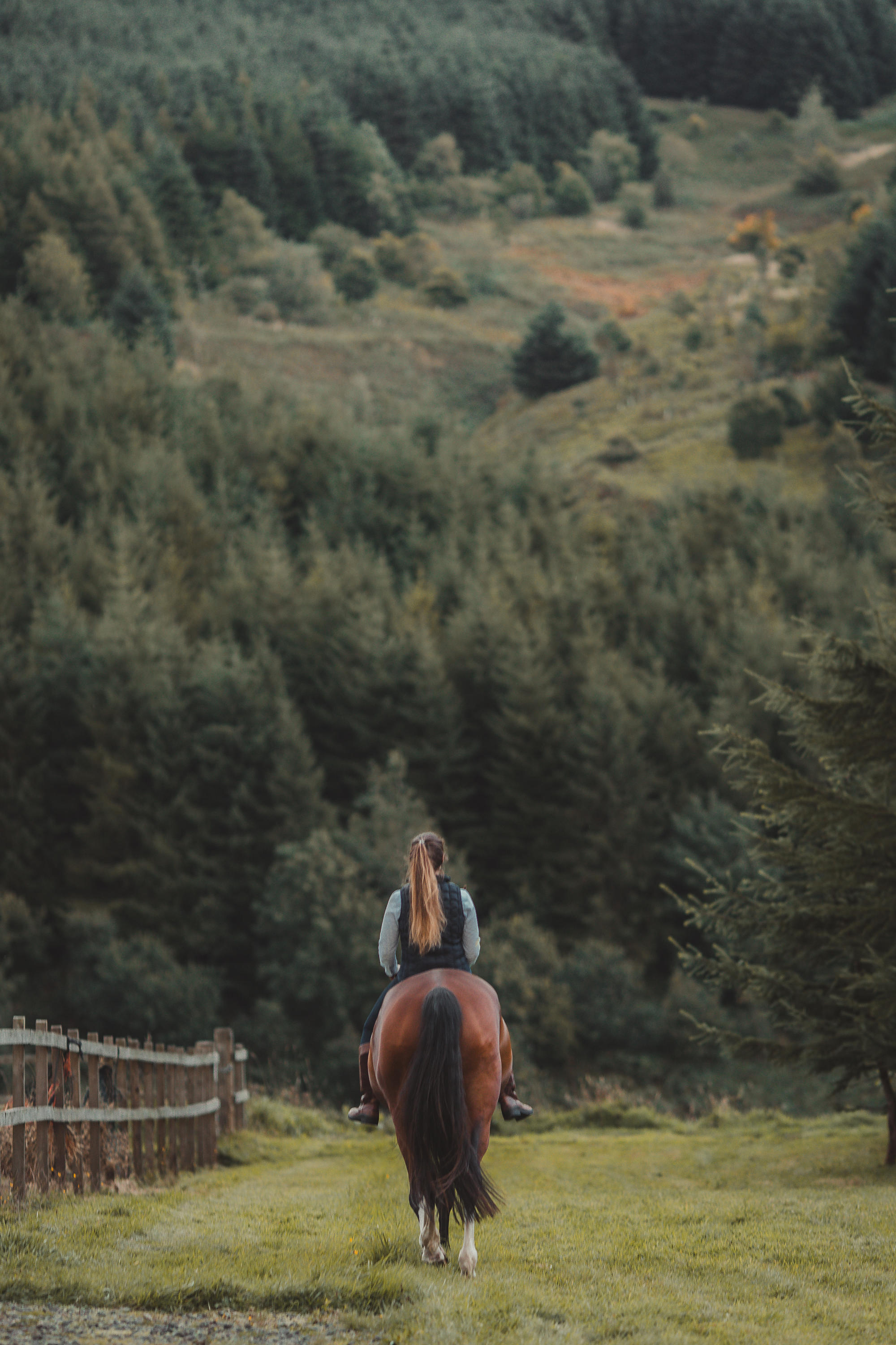 epic-horse-photography-equine-scotland080