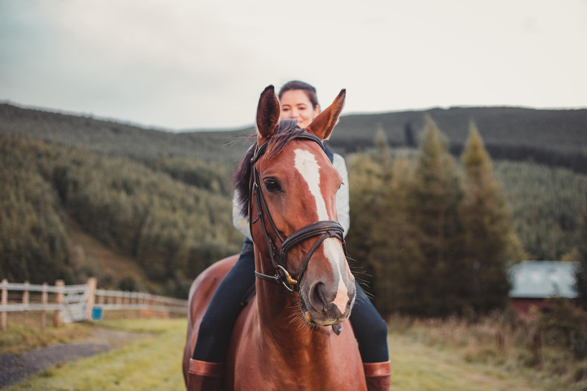 epic-horse-photography-equine-scotland081