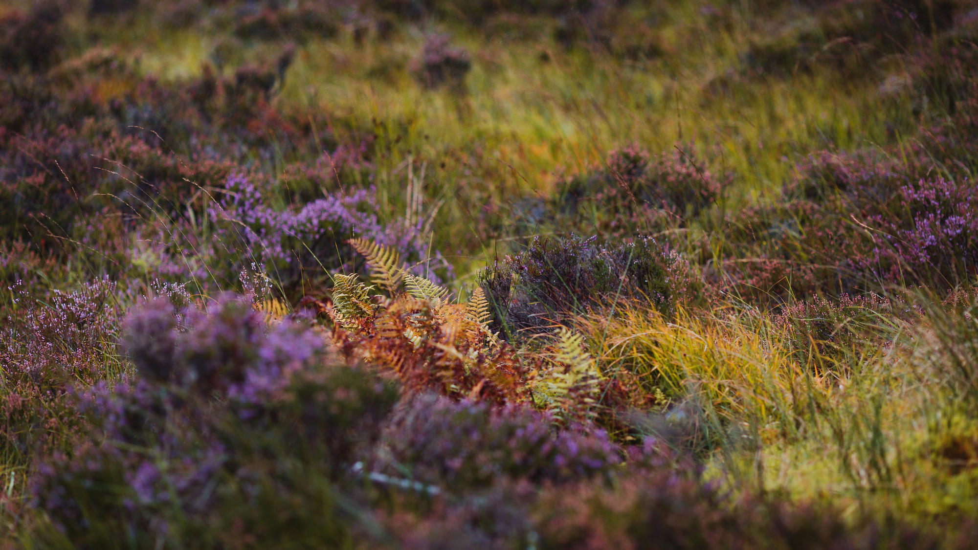 glencoe-scotland-landscape-photography-27