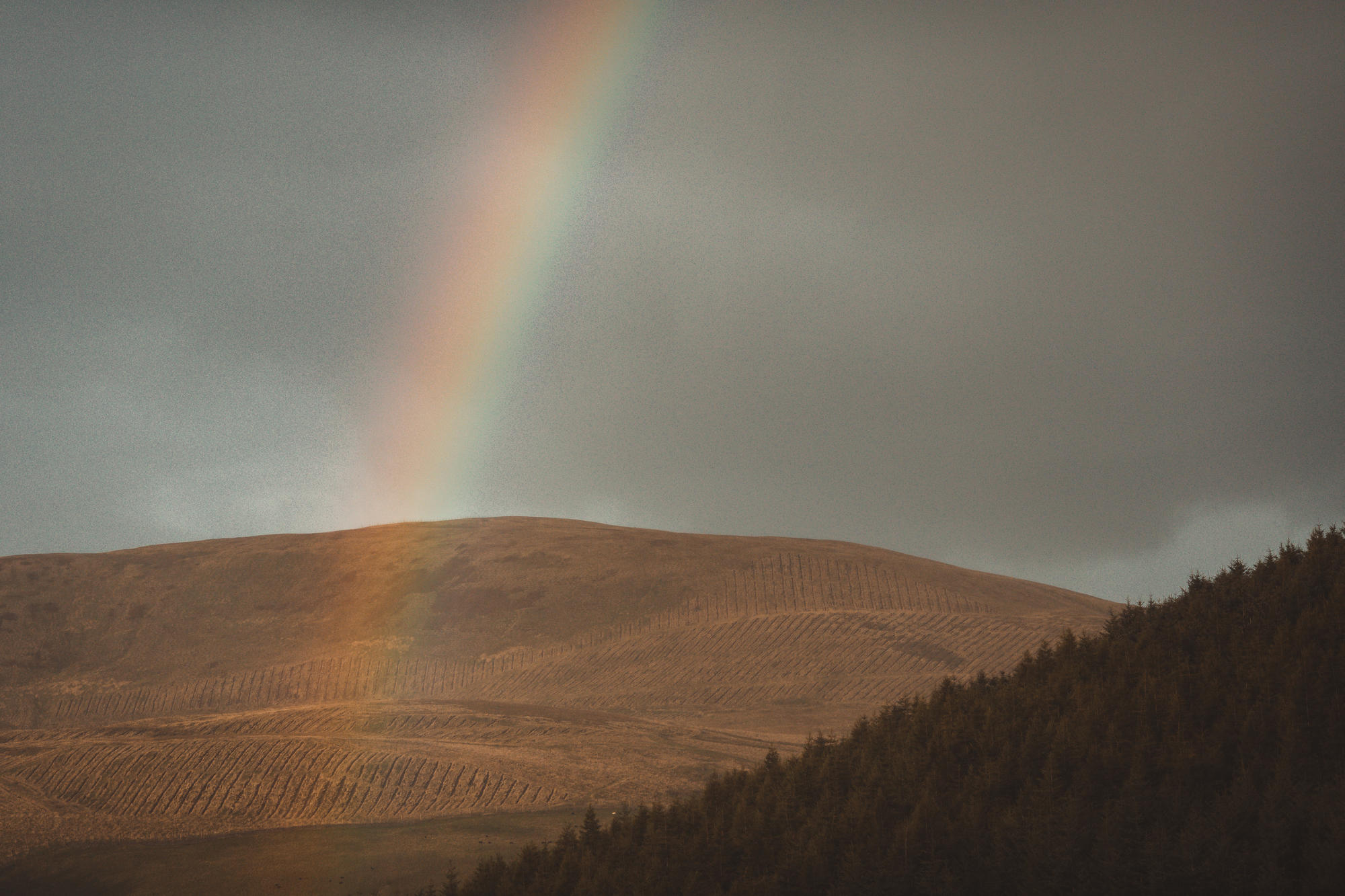 scotland-rainbow