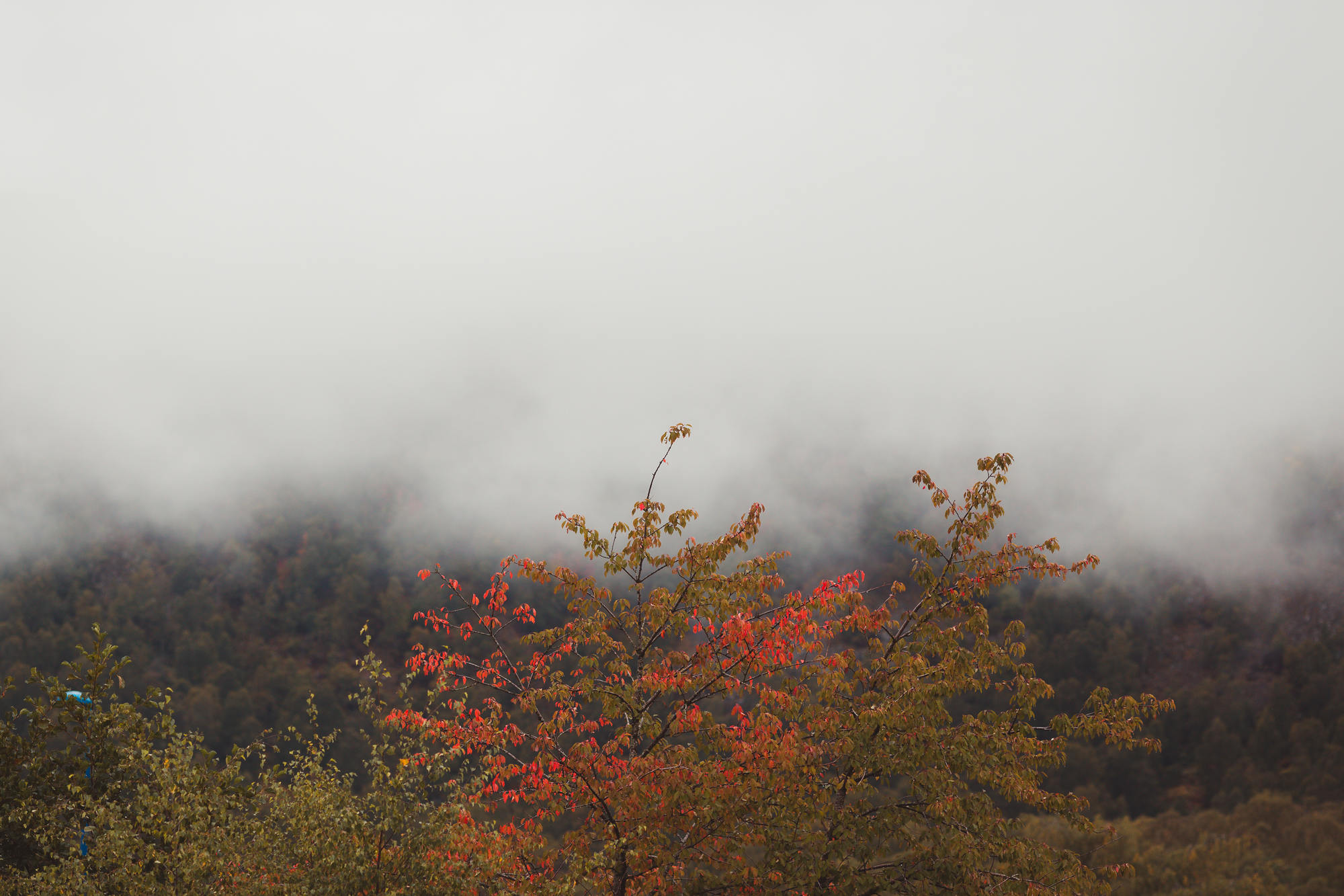 landscape-photography-cairngorms-national-park-autumn-01