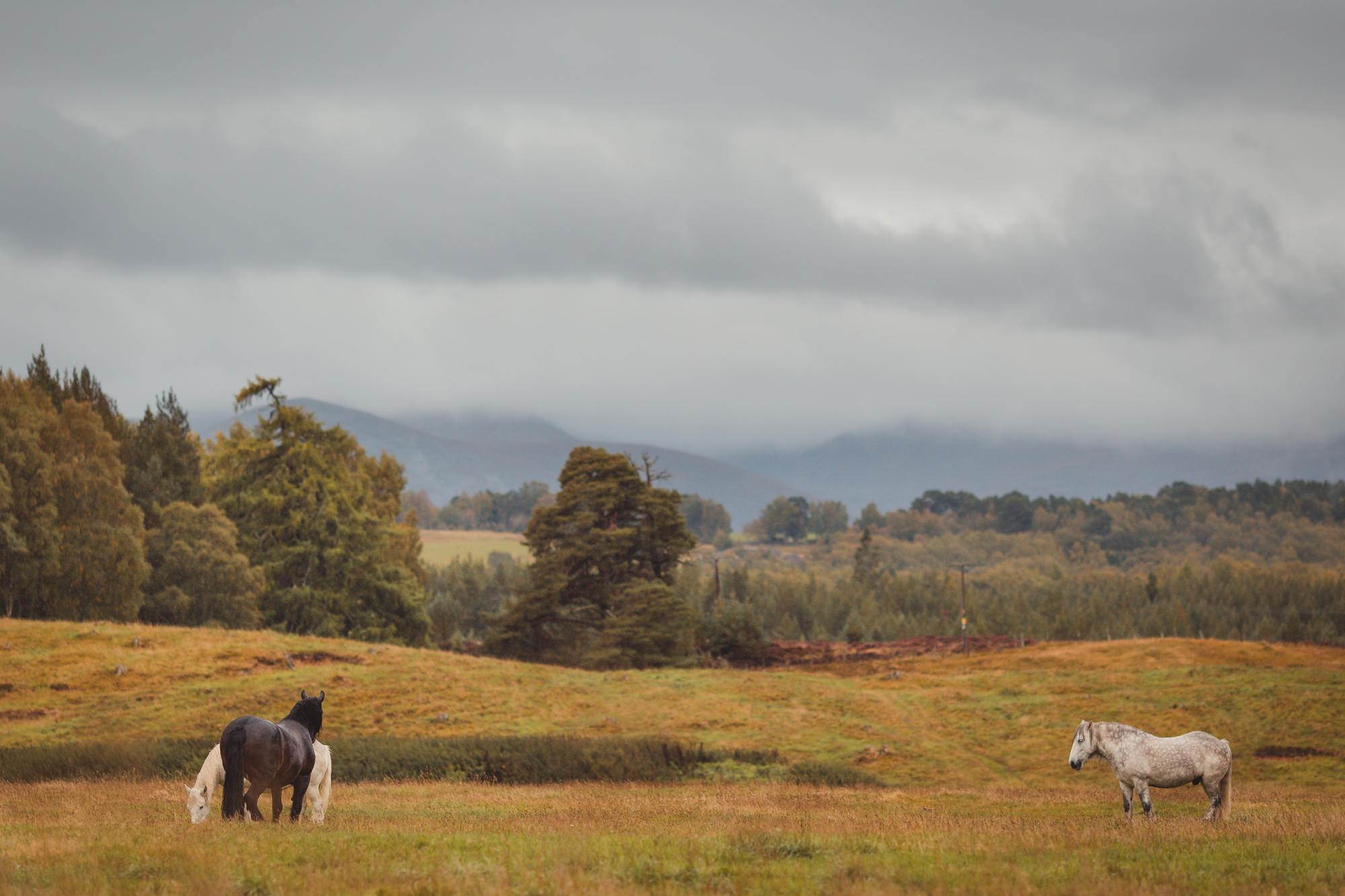 landscape-photography-cairngorms-national-park-autumn-05