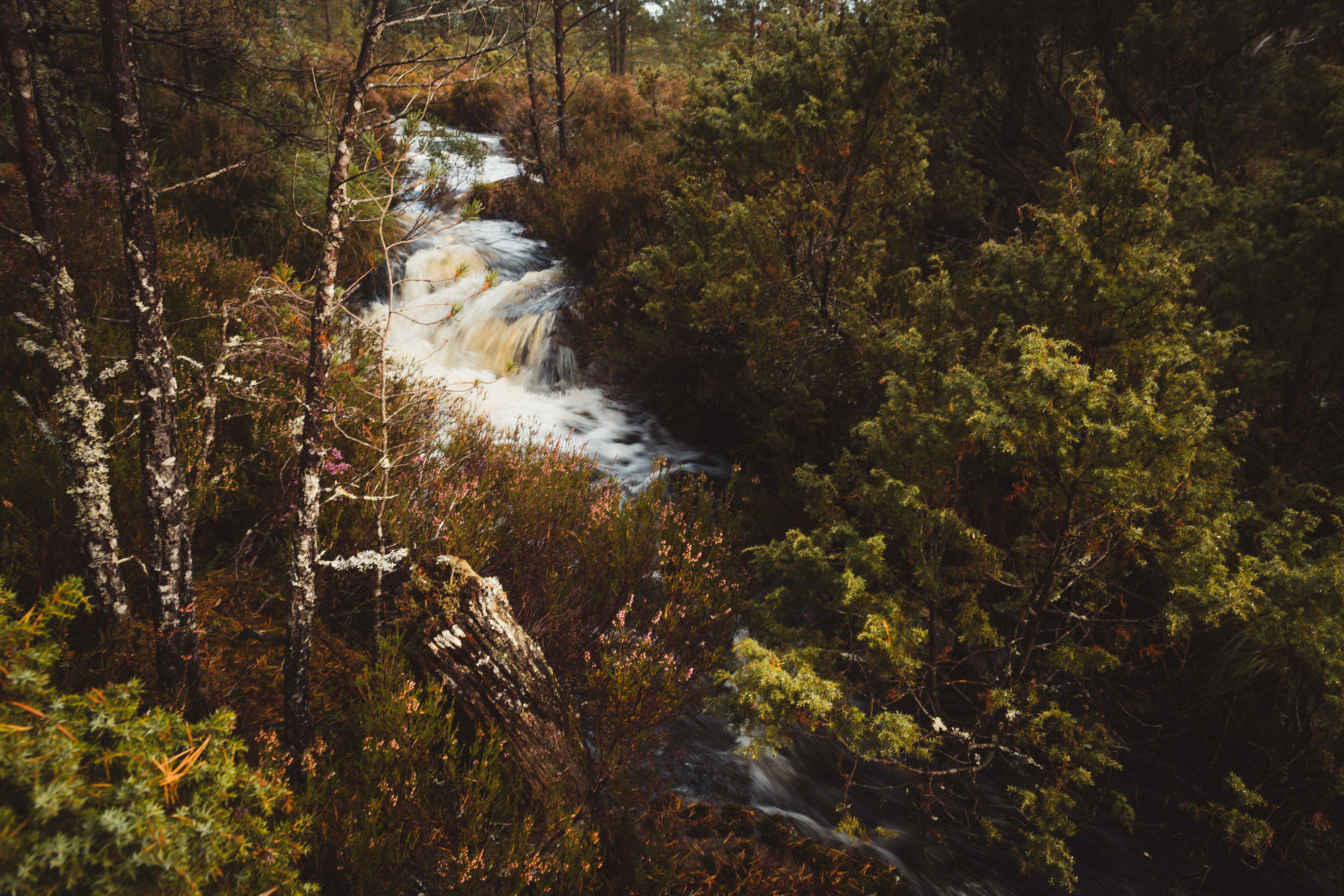 landscape-photography-cairngorms-national-park-autumn-18