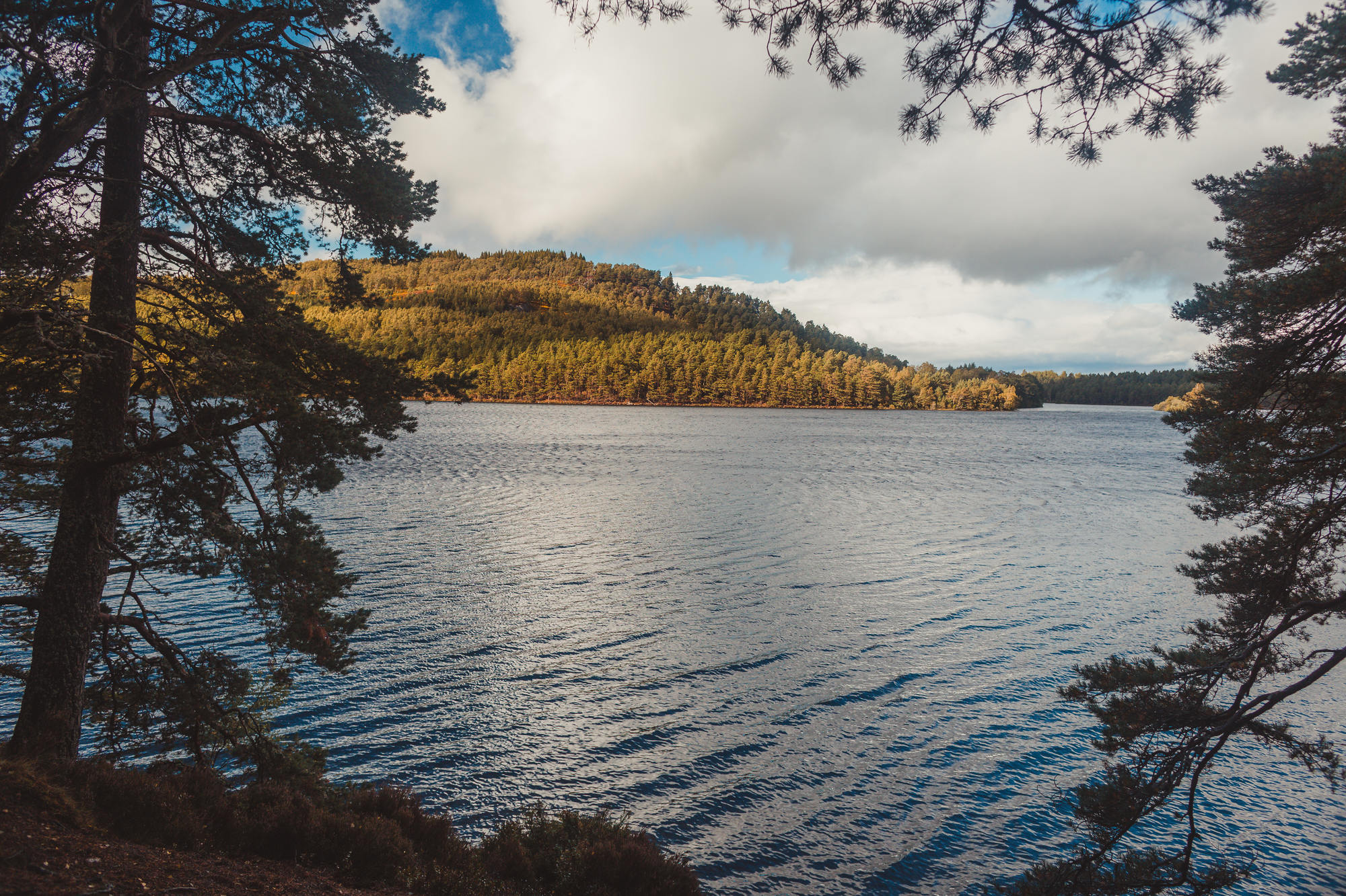 landscape-photography-cairngorms-national-park-autumn-23