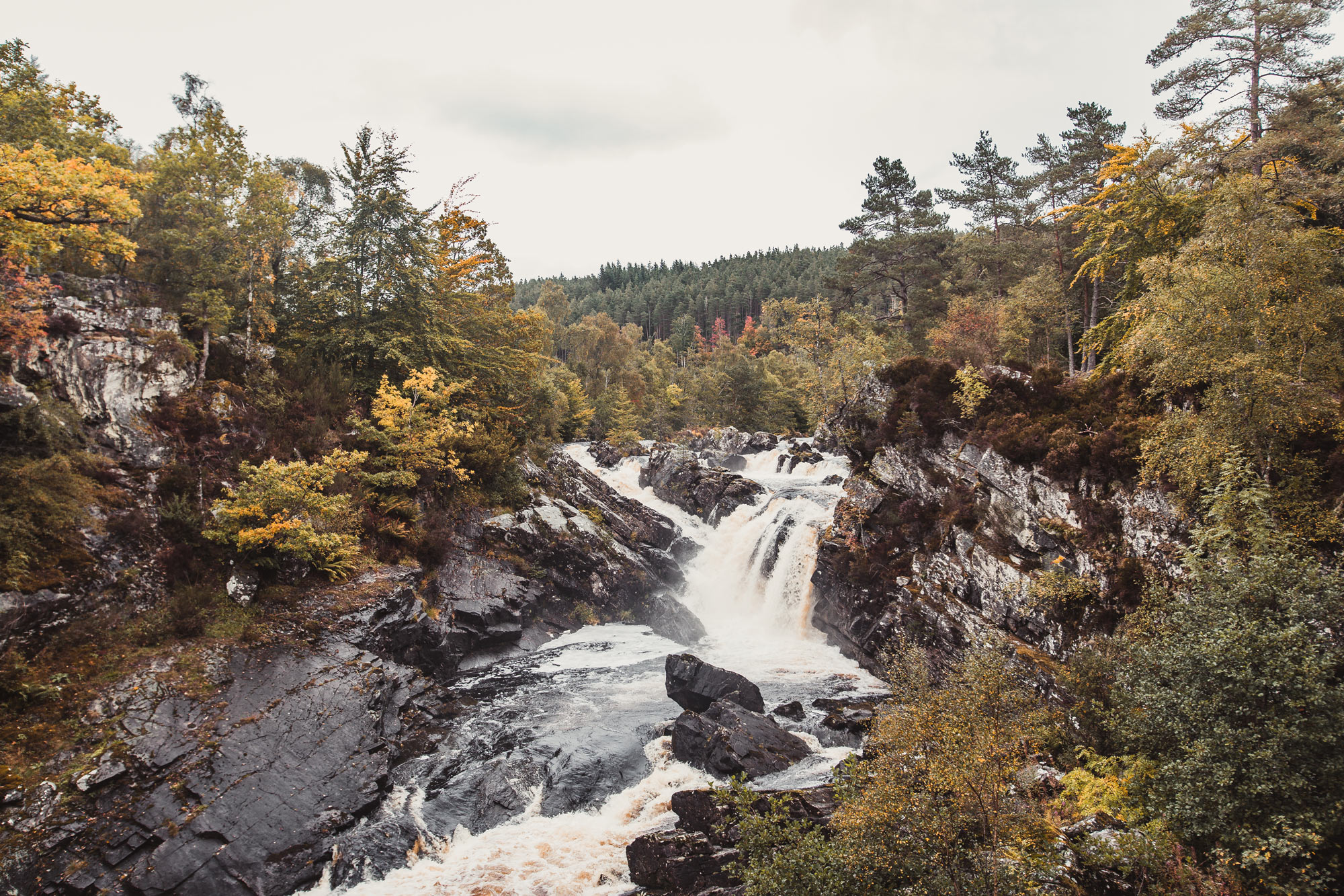 rogie-falls-black-isle-scotland