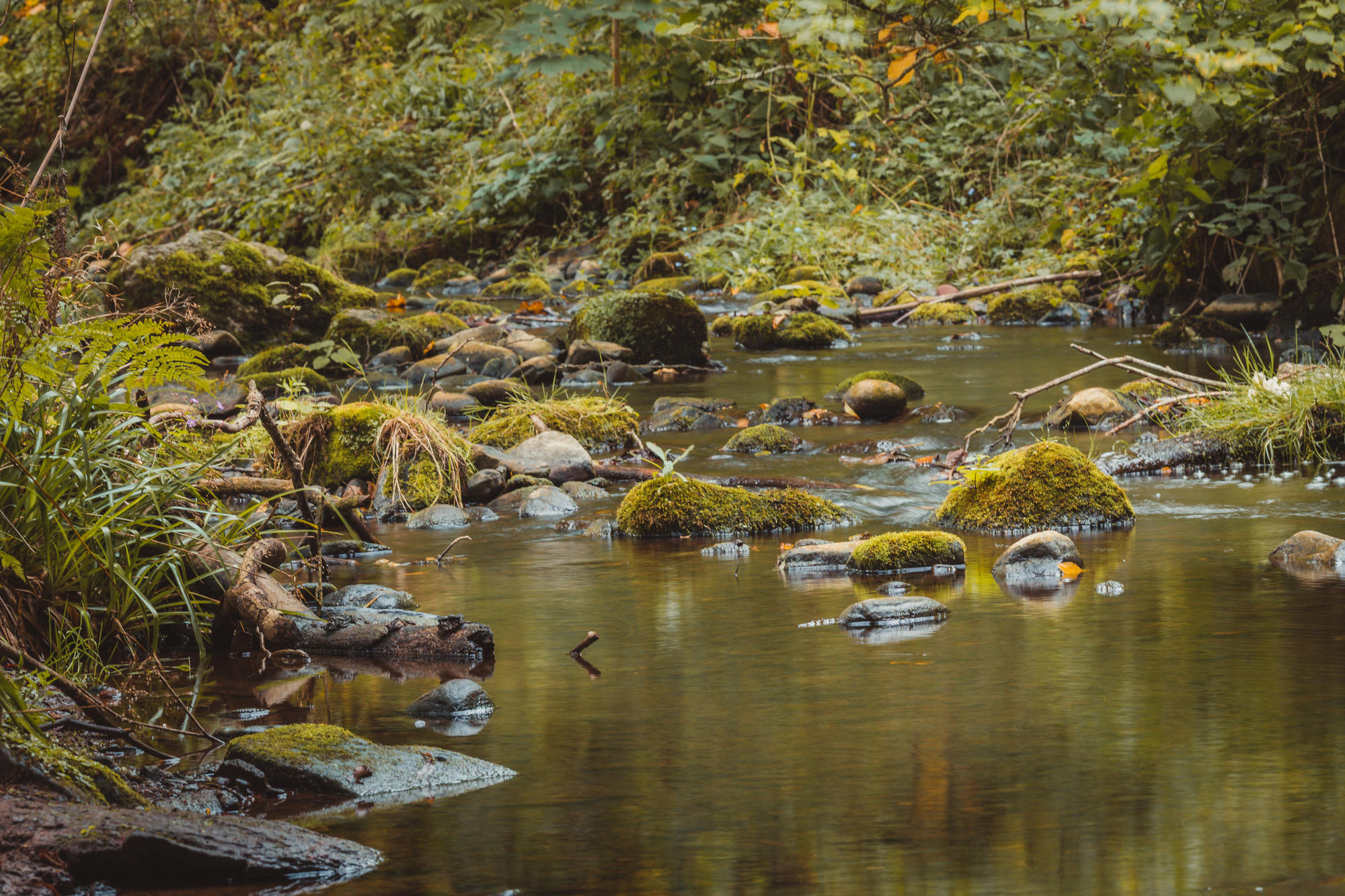 black-isle-fortrose-waterfalls-fairy-glen-02