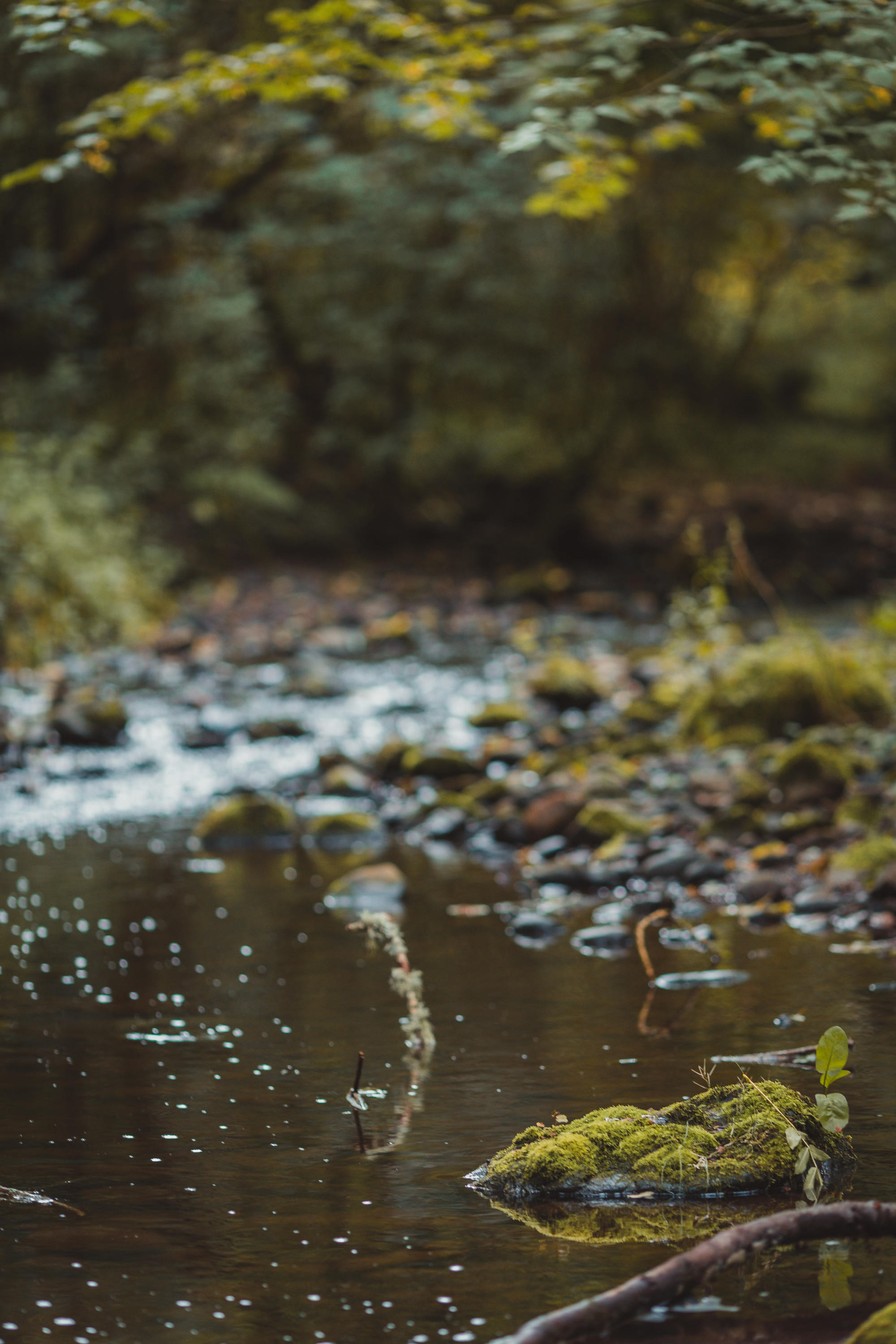 black-isle-fortrose-waterfalls-fairy-glen-04