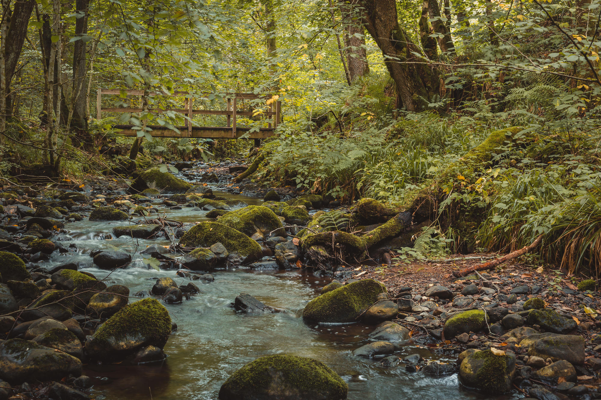 black-isle-fortrose-waterfalls-fairy-glen-06