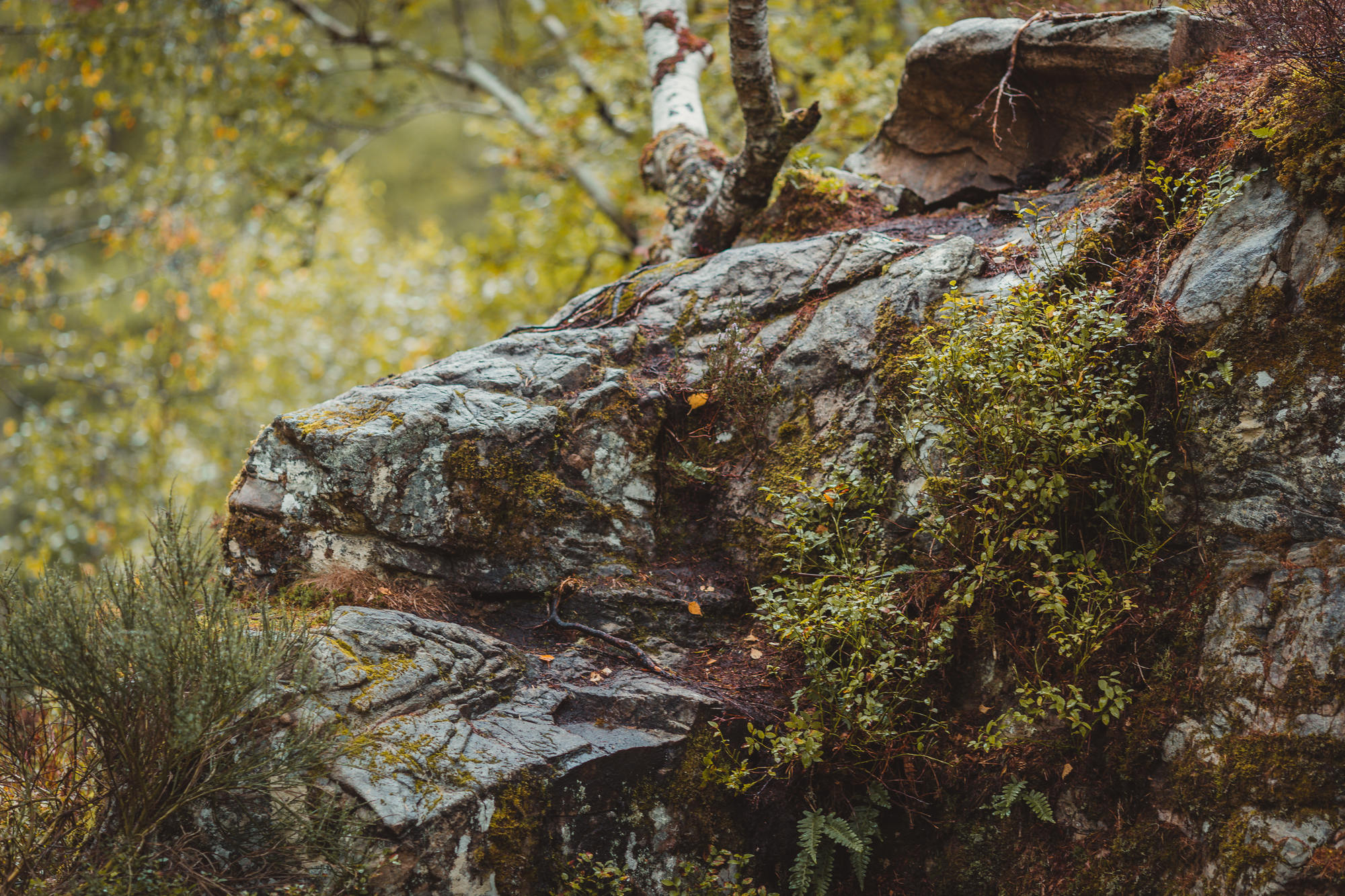 black-isle-fortrose-waterfalls-fairy-glen-14