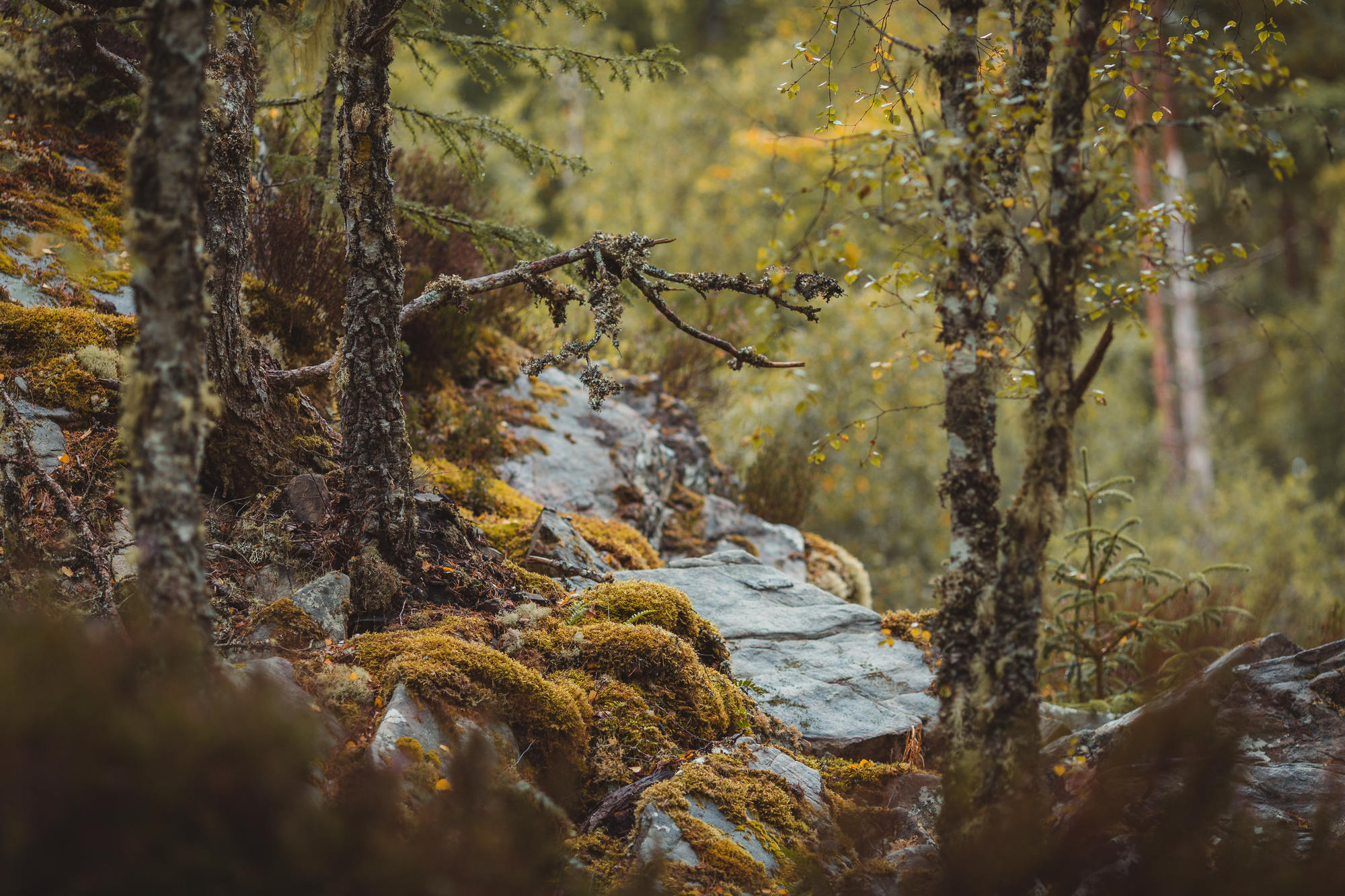 black-isle-fortrose-waterfalls-fairy-glen-16