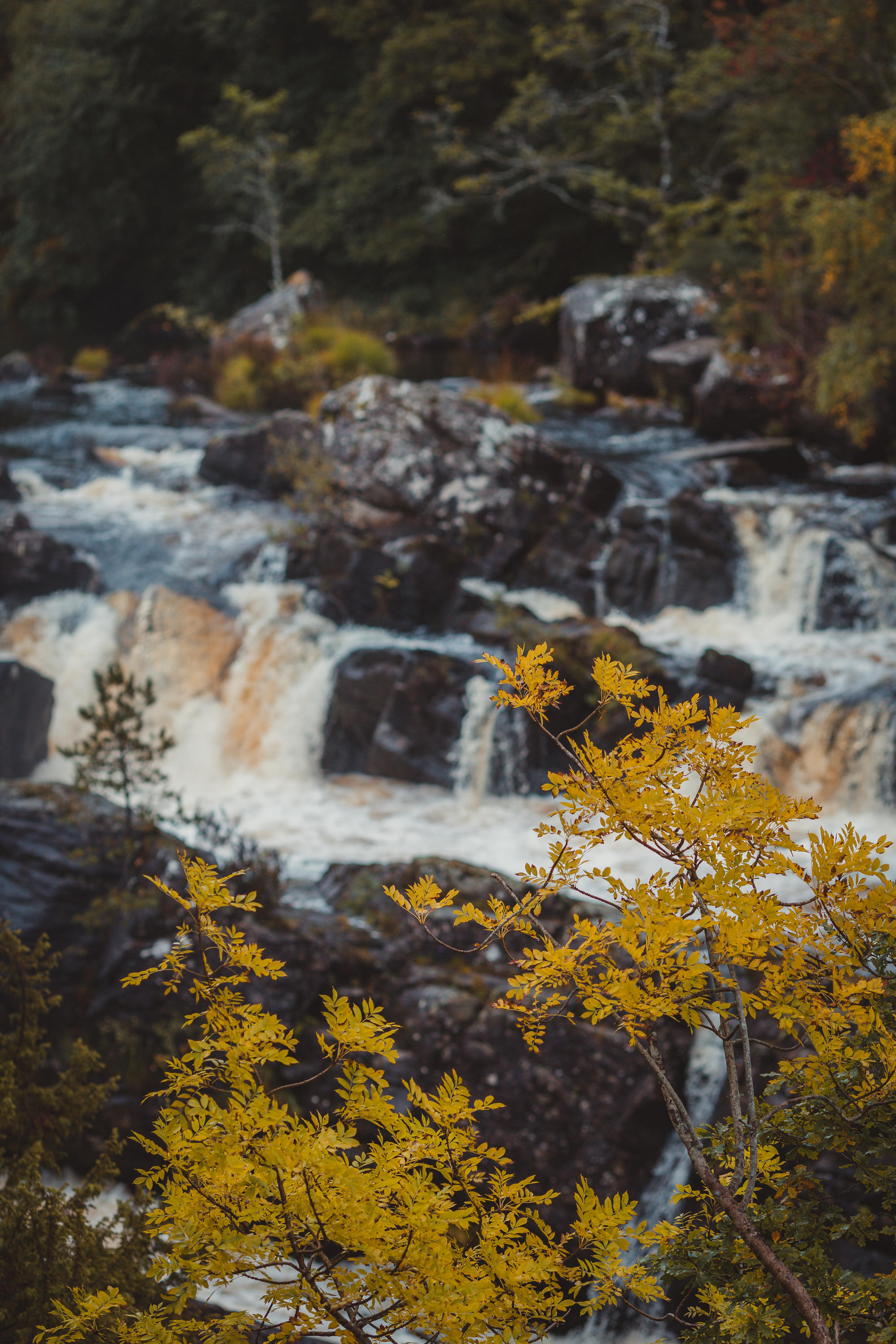 black-isle-fortrose-waterfalls-fairy-glen-18