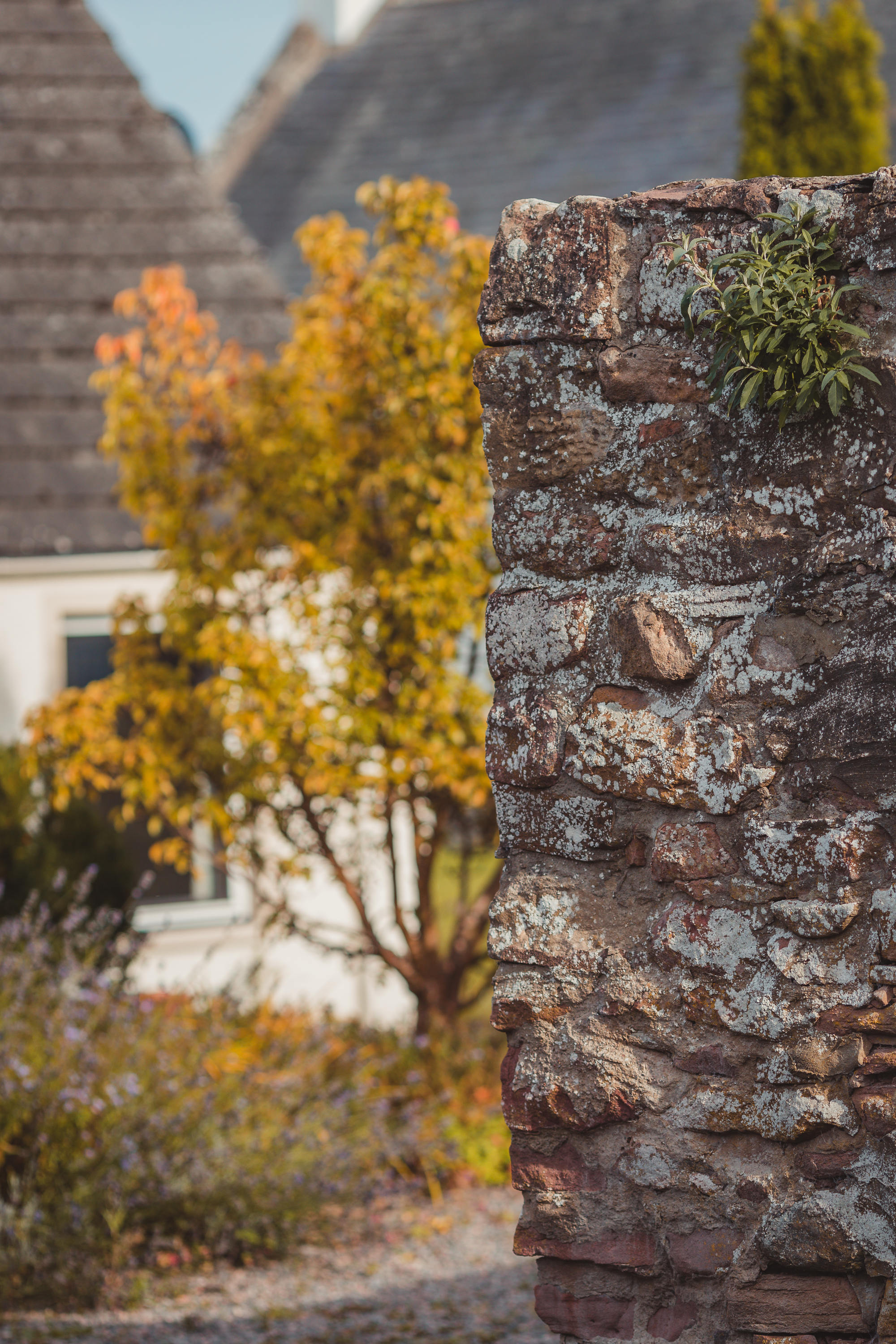 idyllic-rosemarkie-photography-scotland-18