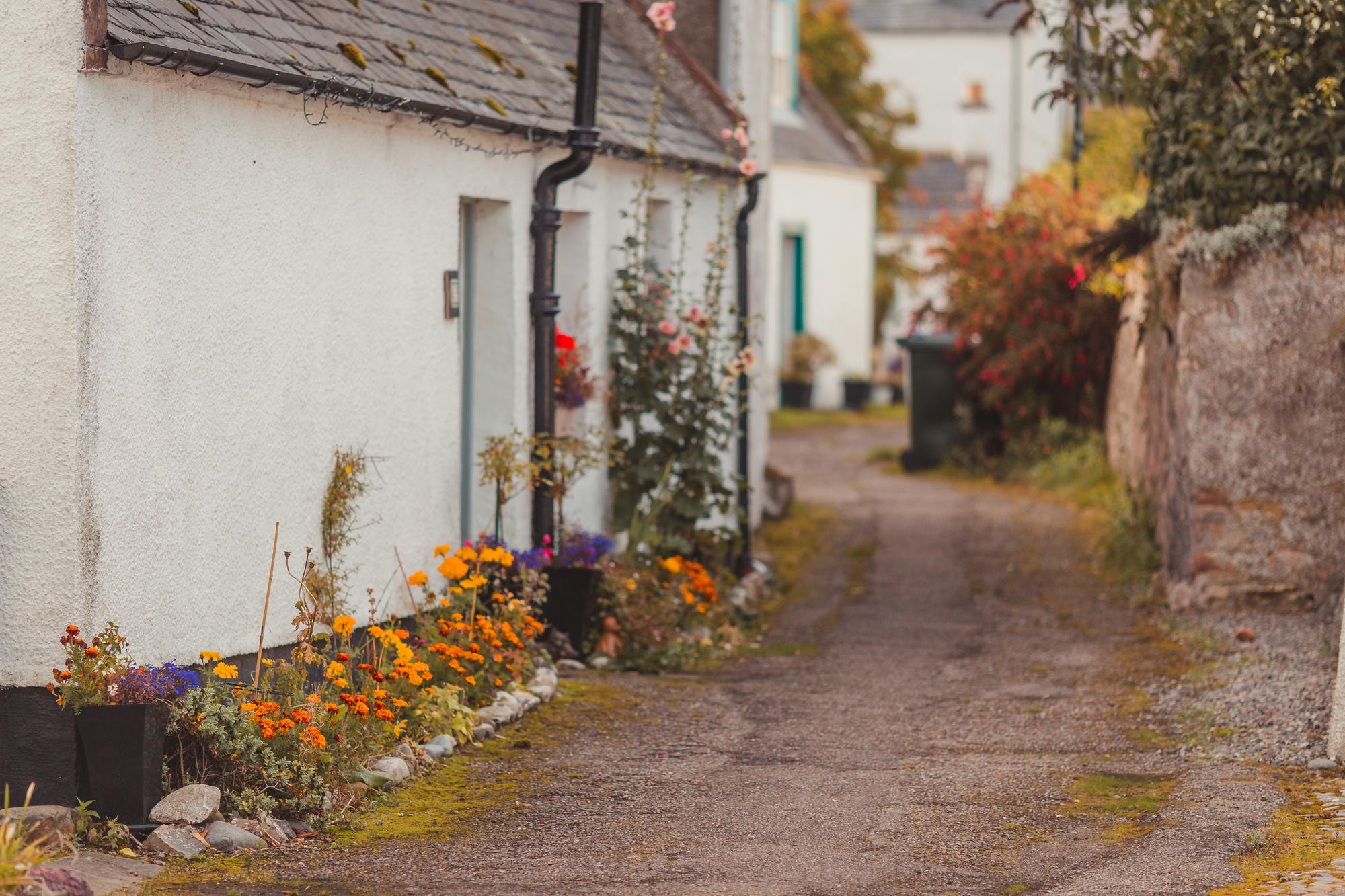 idyllic-rosemarkie-photography-scotland-21