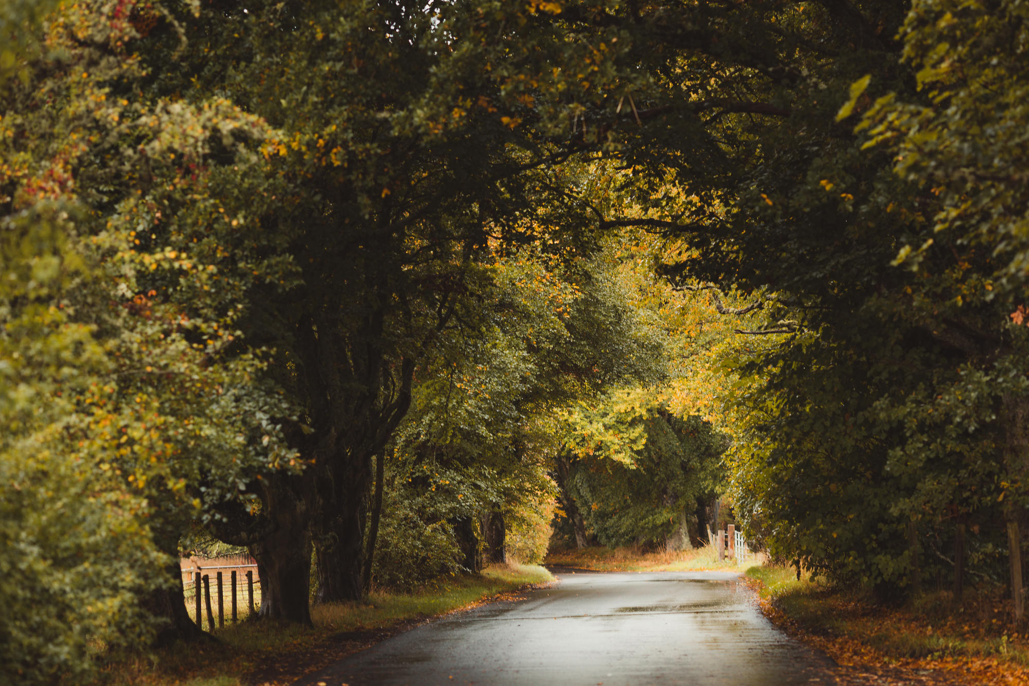 landscape-photography-cairngorms-national-park-autumn-07