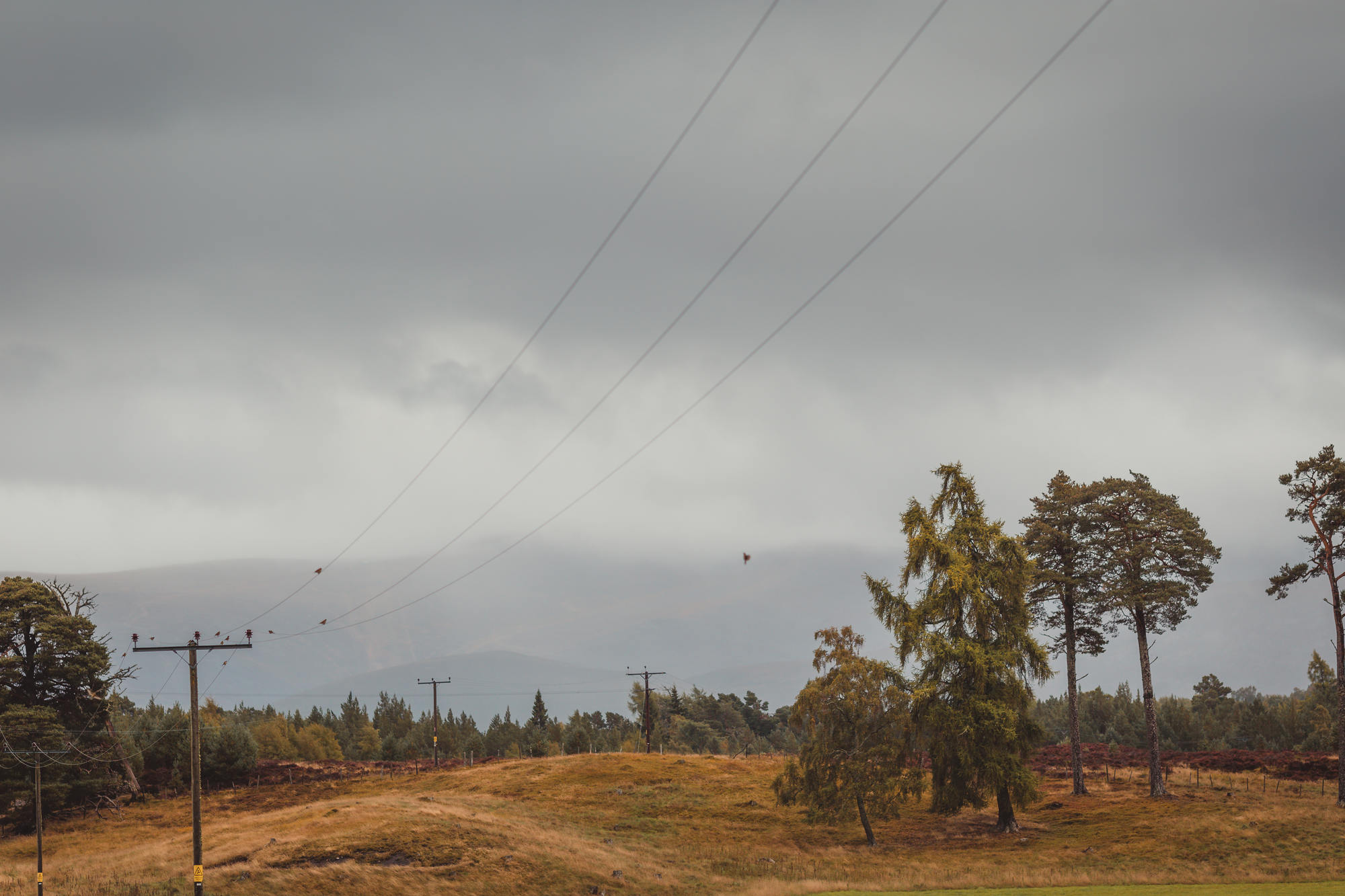 landscape-photography-cairngorms-national-park-autumn-08