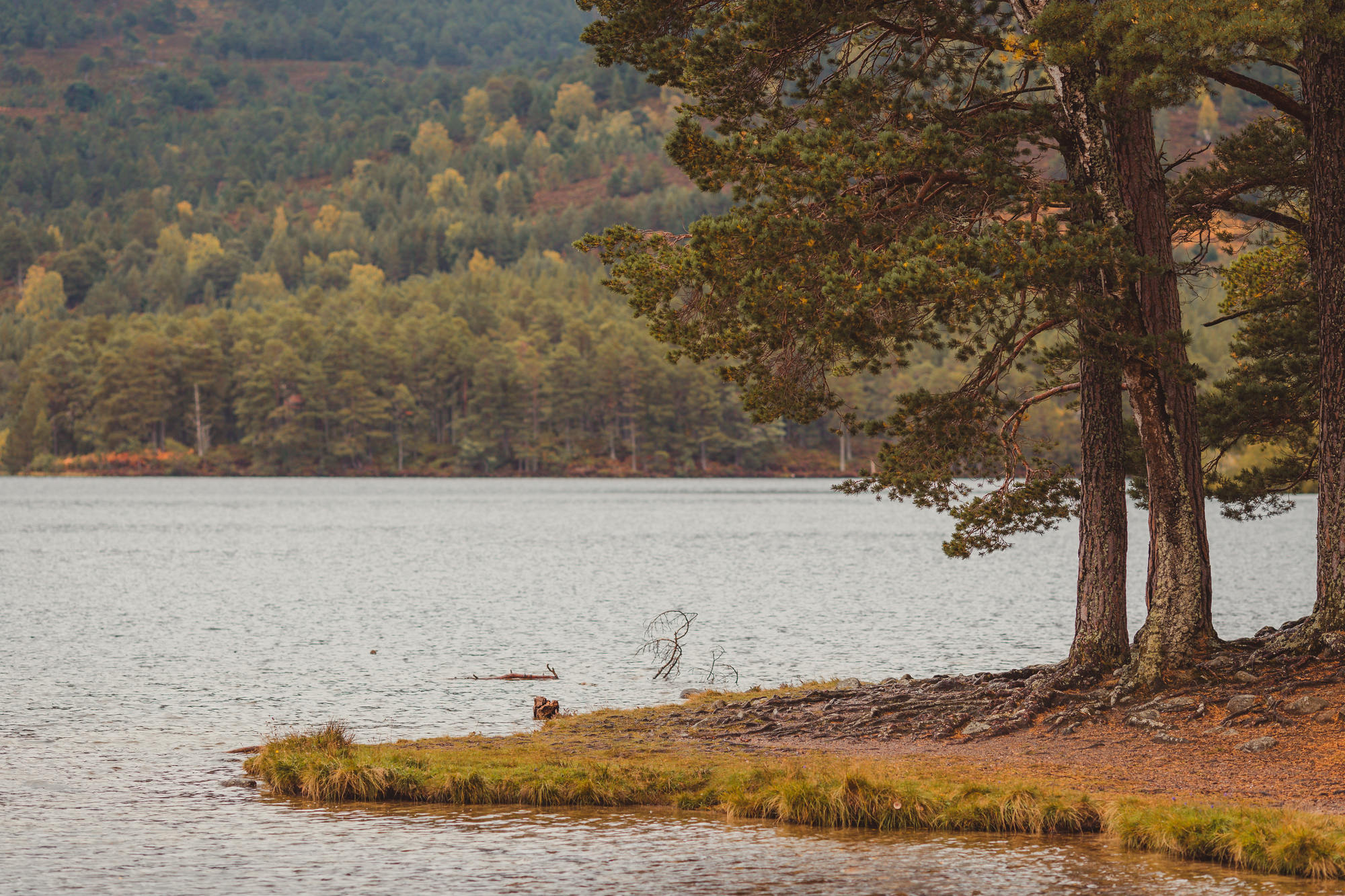 landscape-photography-cairngorms-national-park-autumn-09