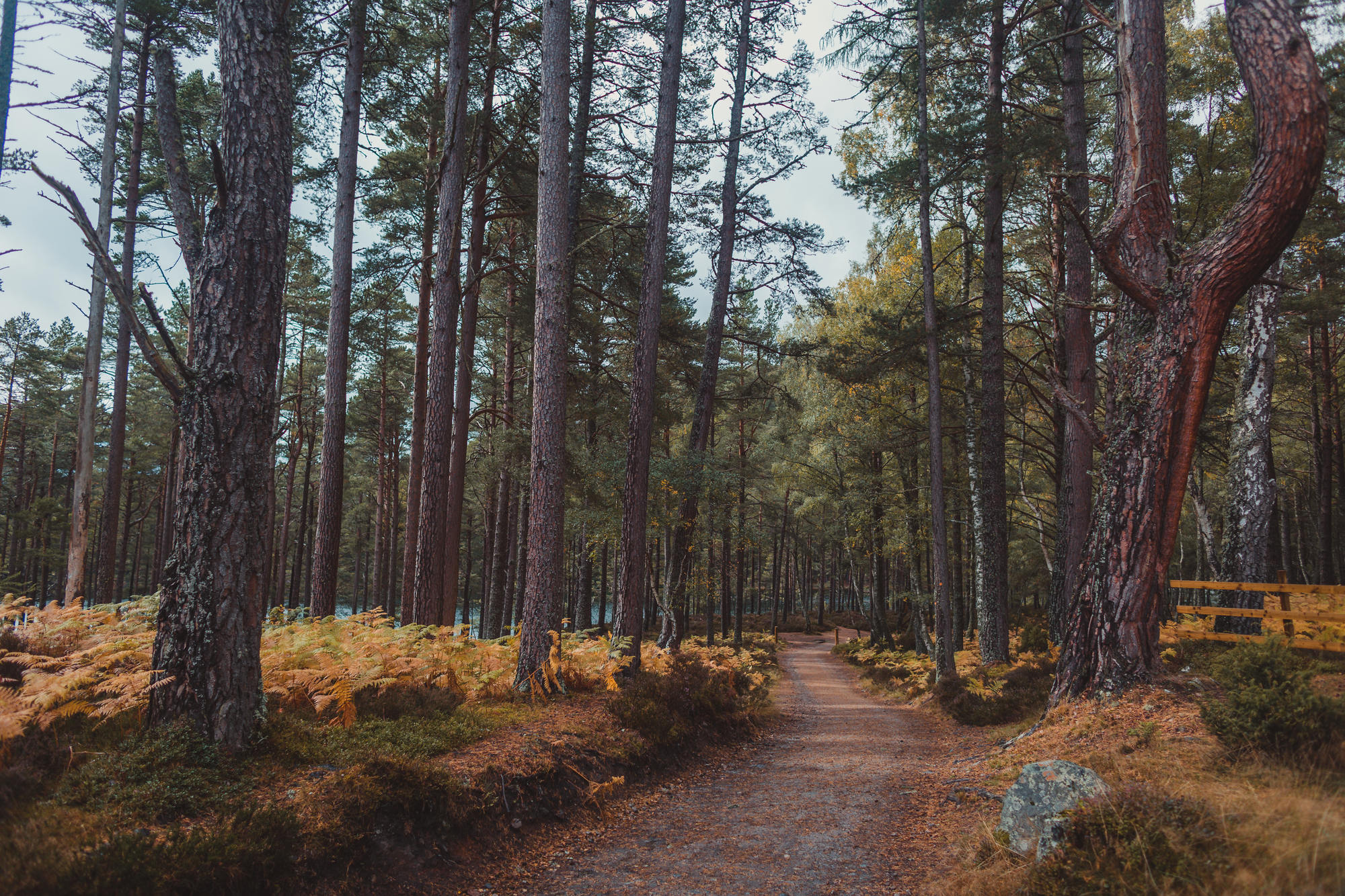 landscape-photography-cairngorms-national-park-autumn-16