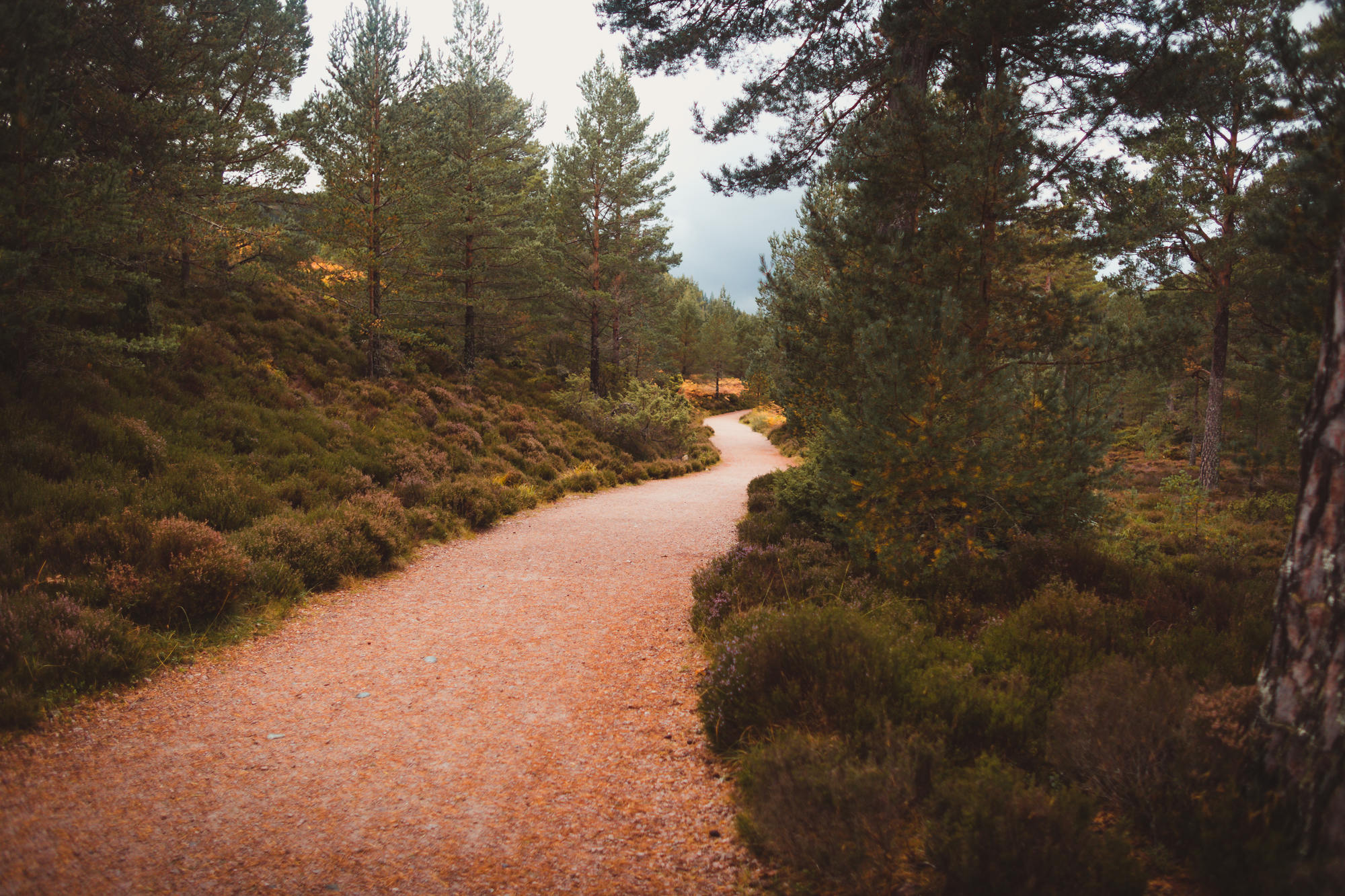 landscape-photography-cairngorms-national-park-autumn-19