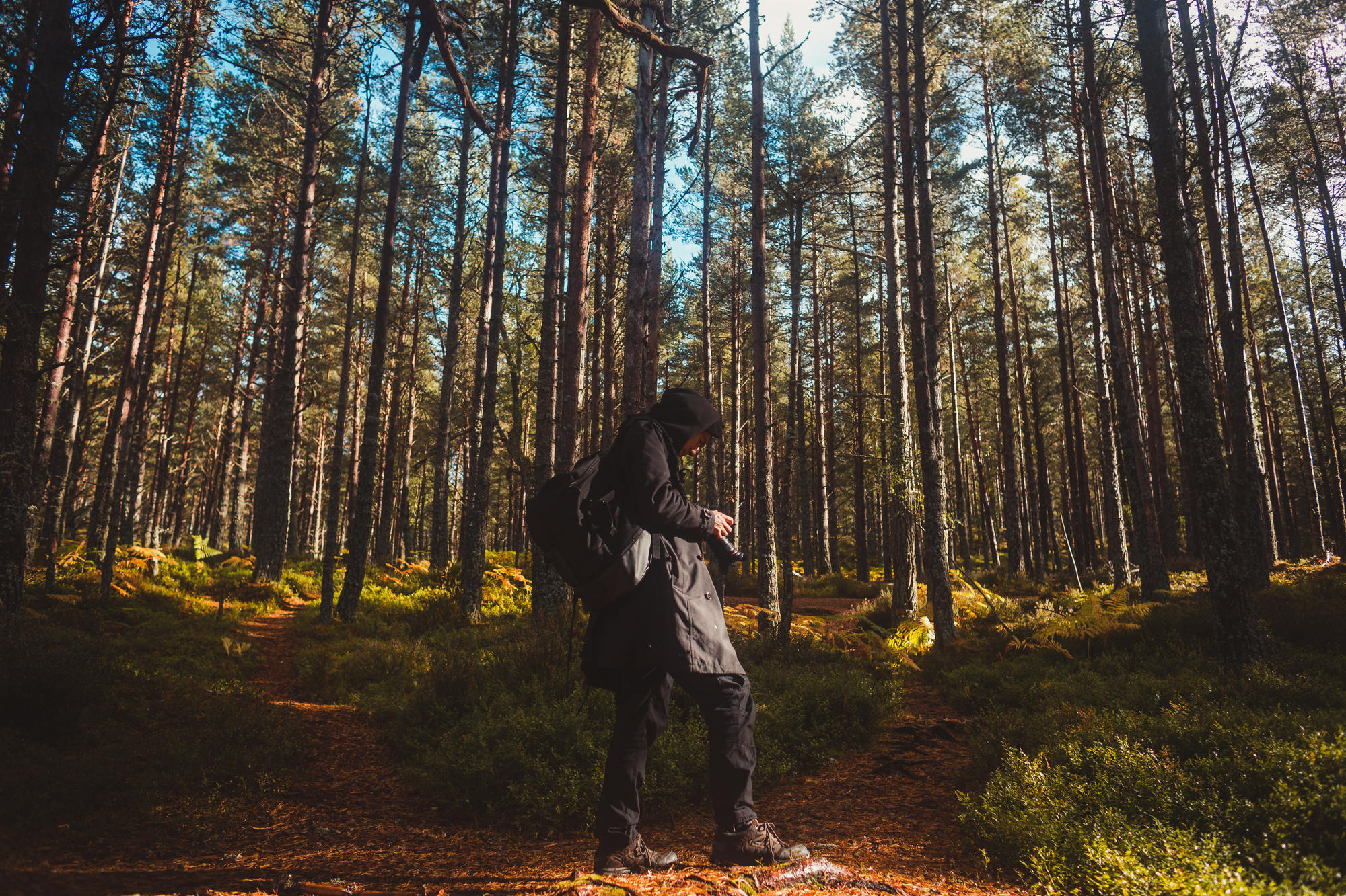 landscape-photography-cairngorms-national-park-autumn-22