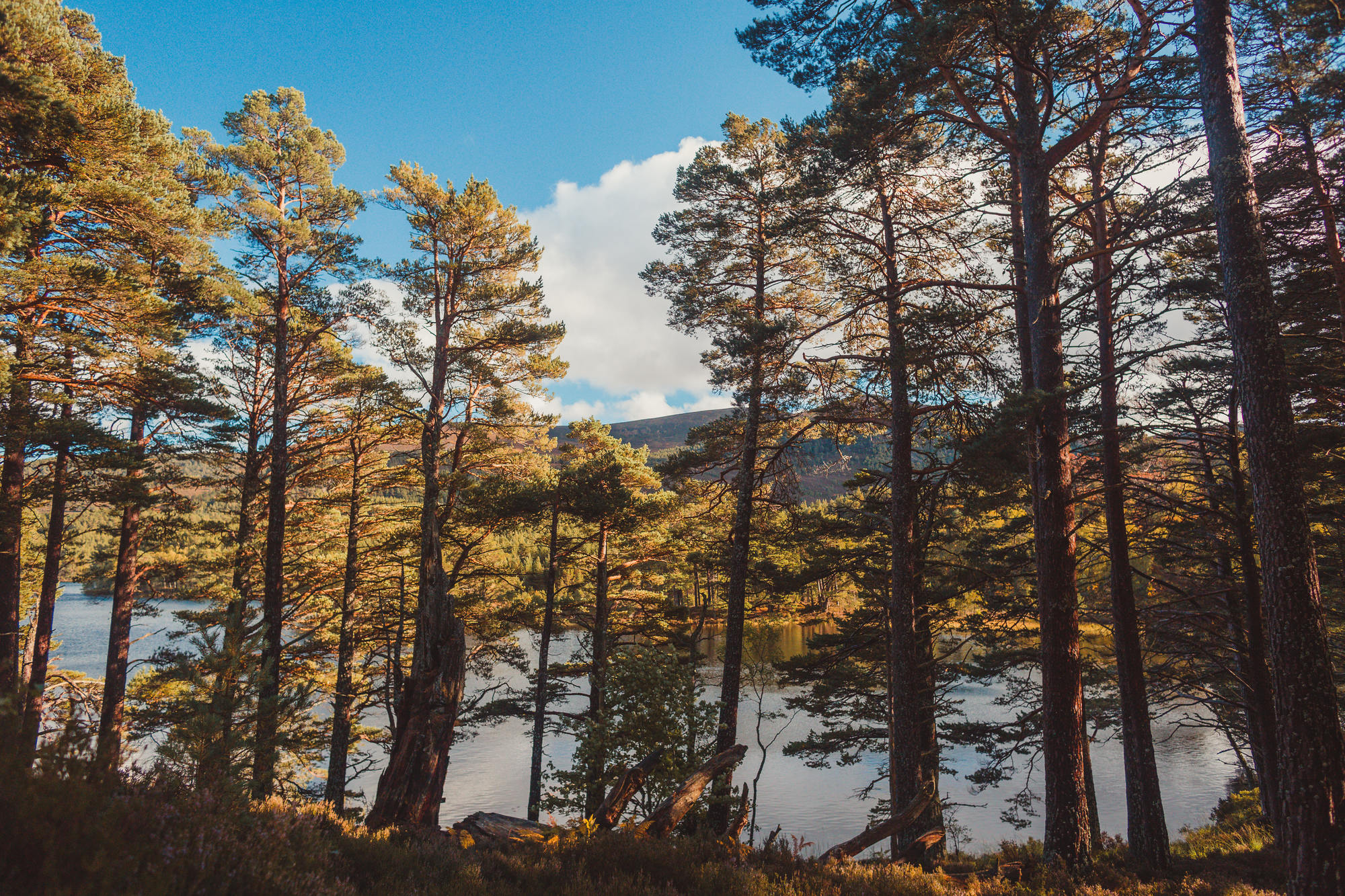 landscape-photography-cairngorms-national-park-autumn-29