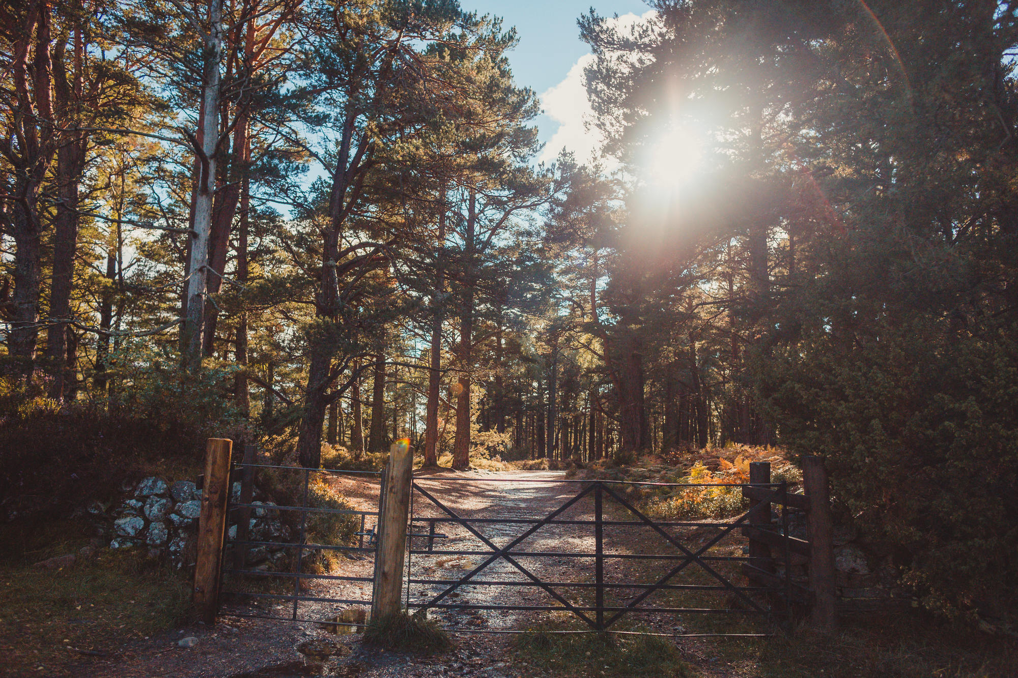 landscape-photography-cairngorms-national-park-autumn-30