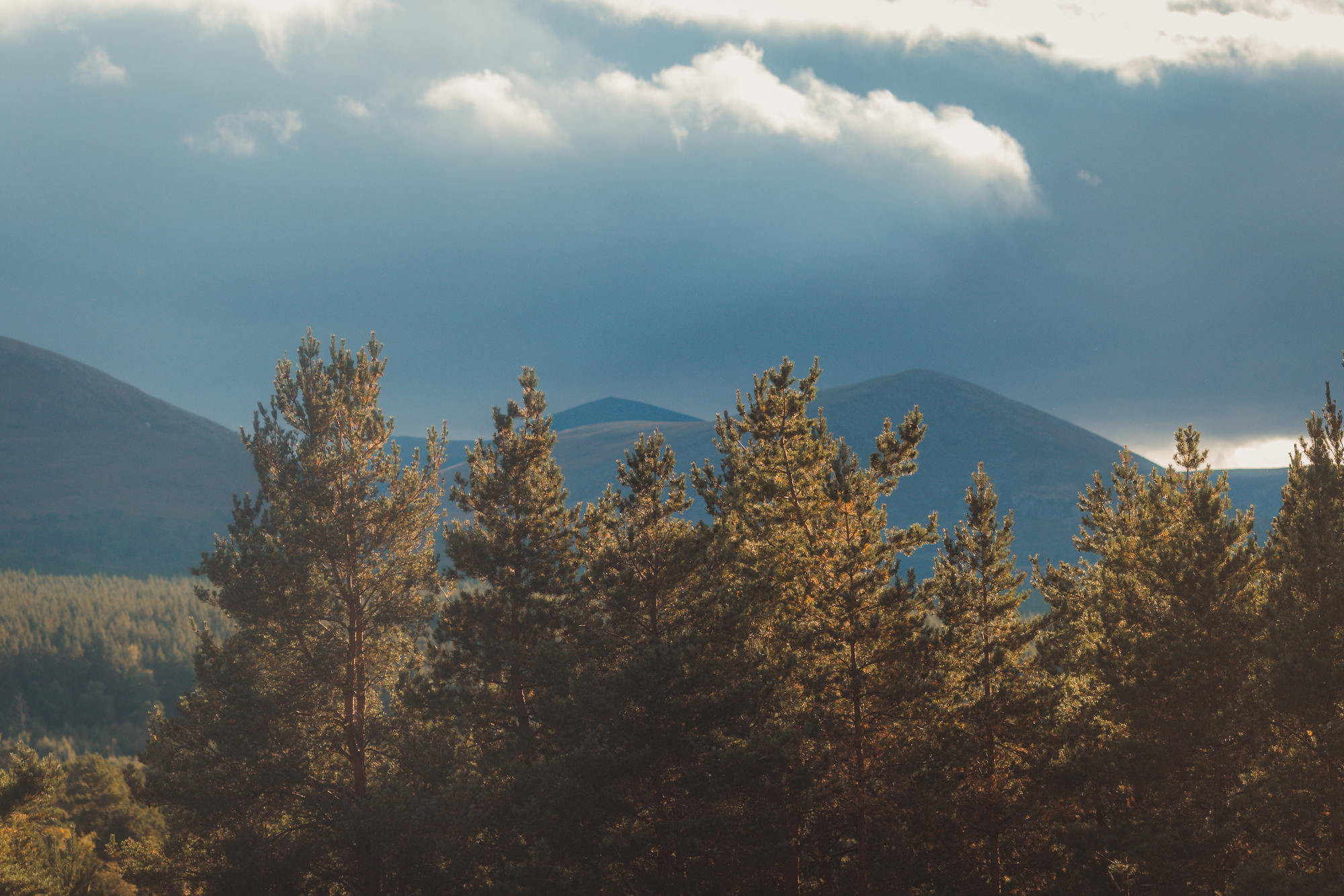 landscape-photography-cairngorms-national-park-autumn-31