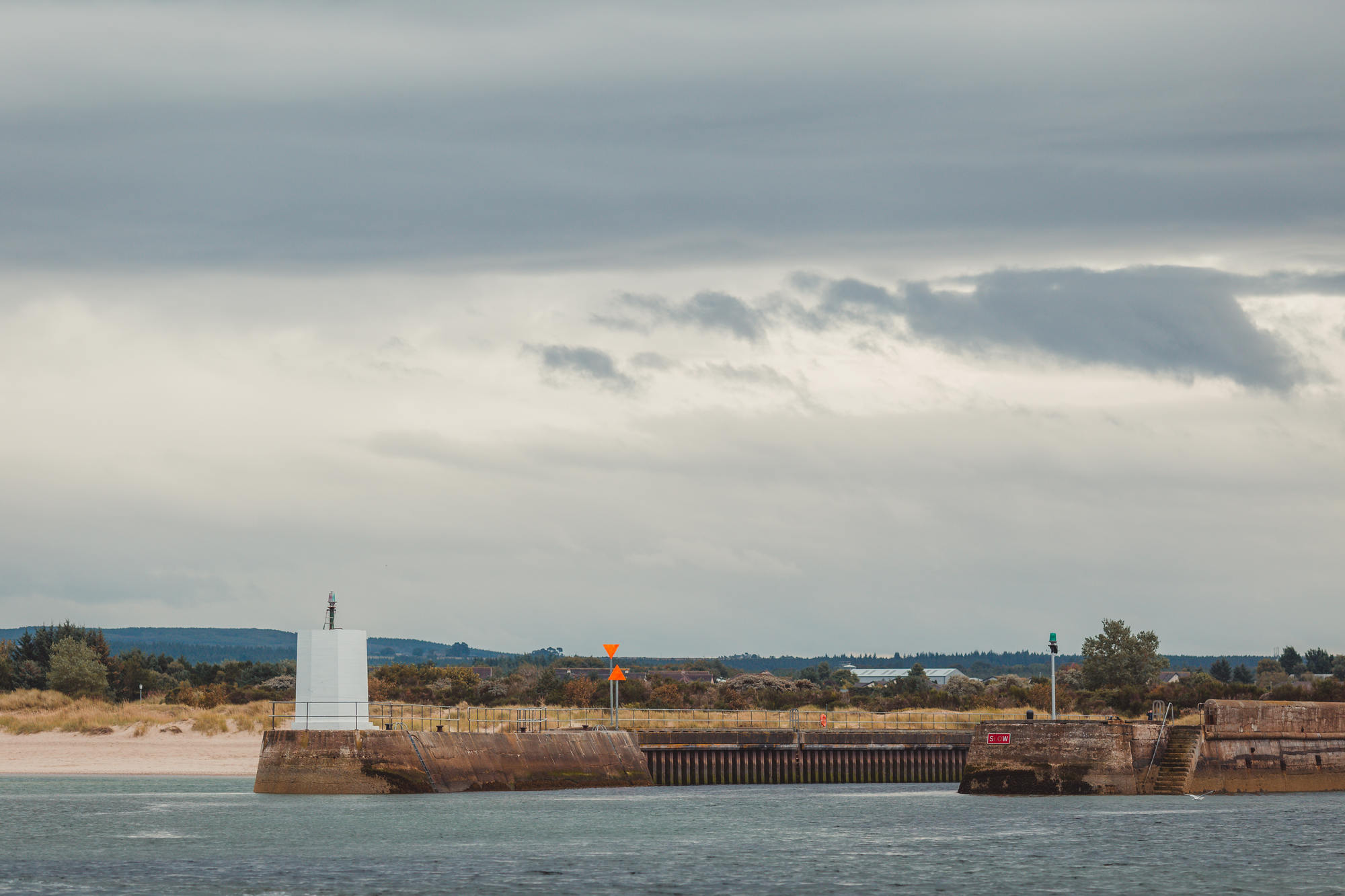 moray-firth-dolphins-phoenix-boats-01