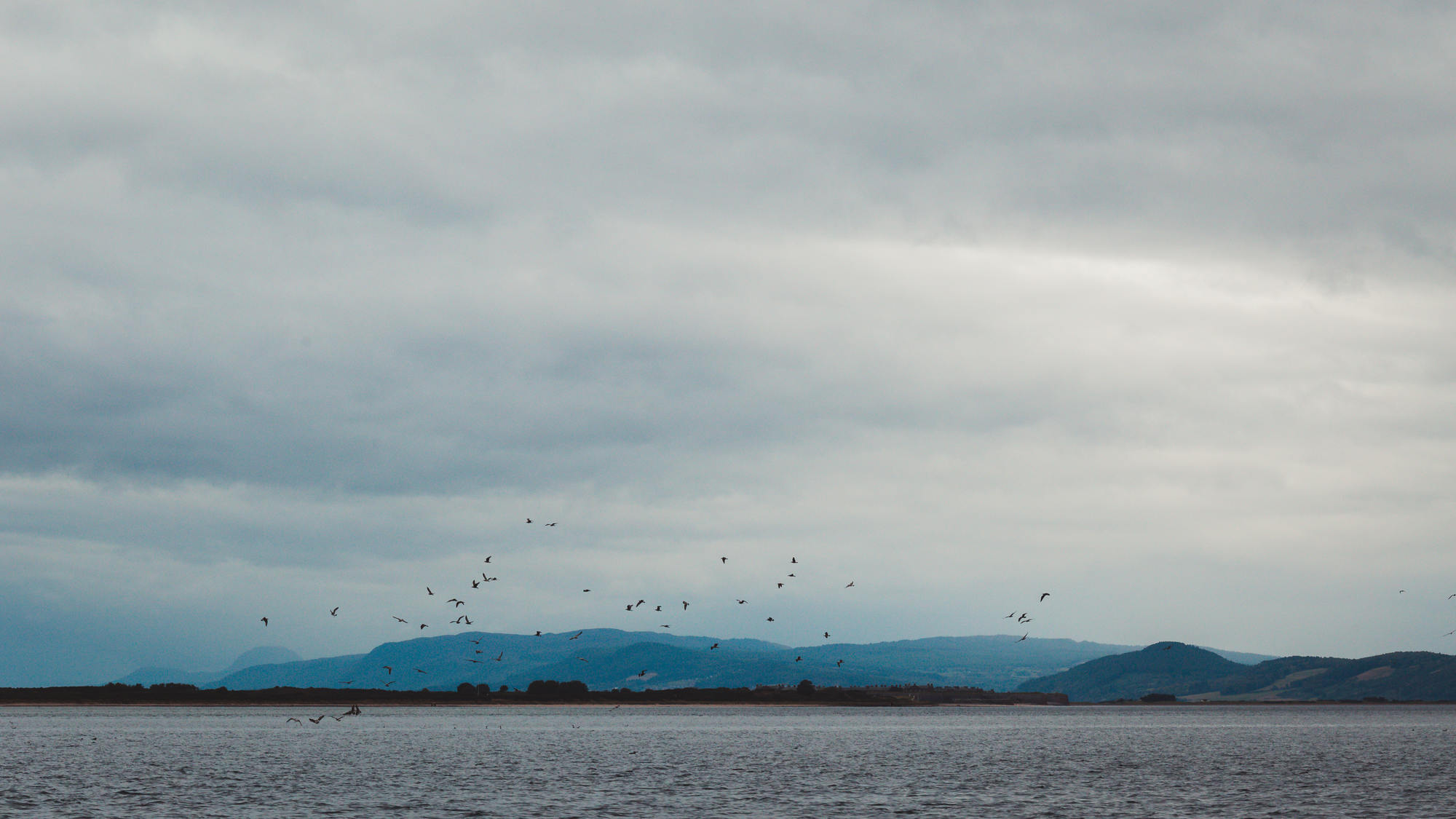 moray-firth-dolphins-phoenix-boats-05