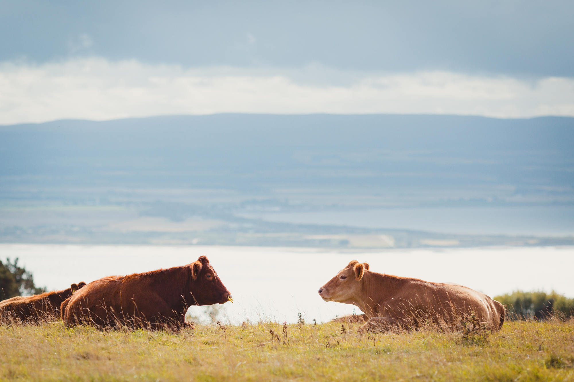 scotland-landscape-photography-moray-firth-30