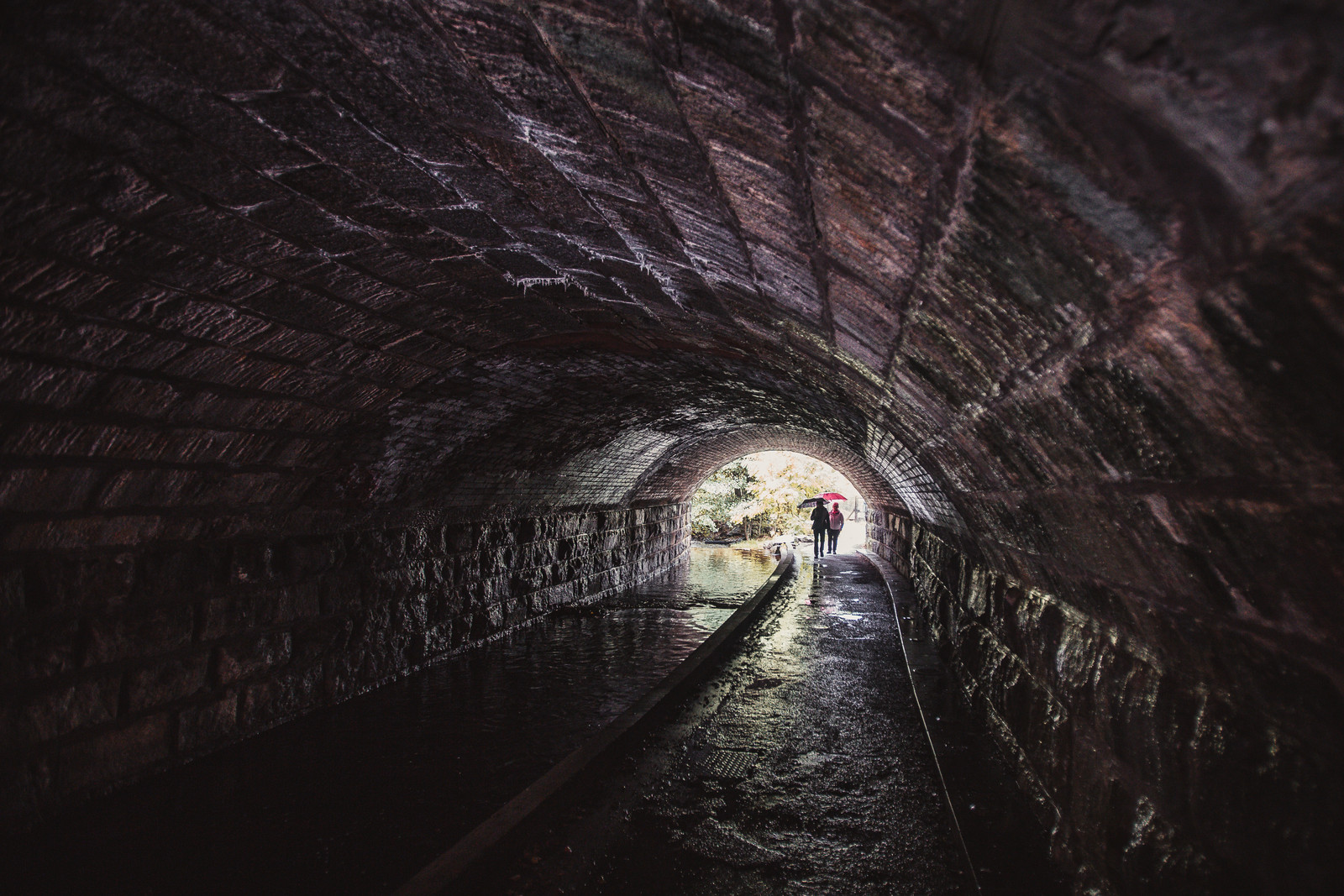 aviemore-national-park-tunnel