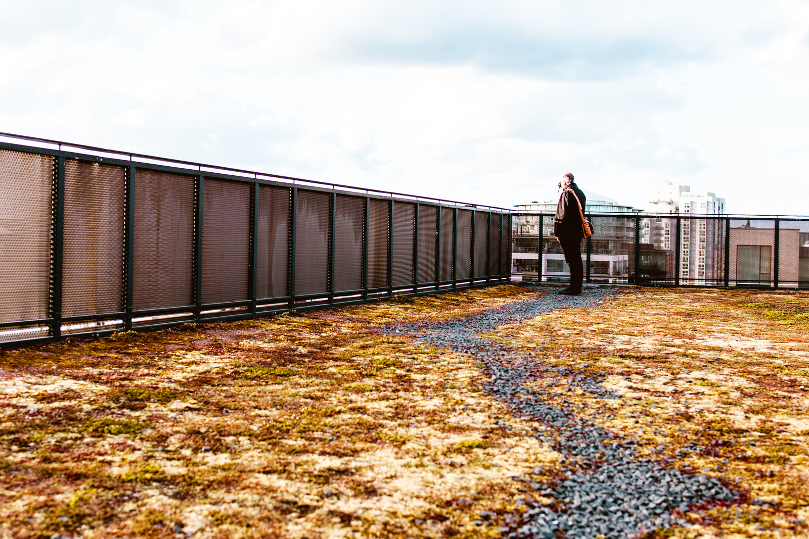 roof-top-hotel-copenhagen