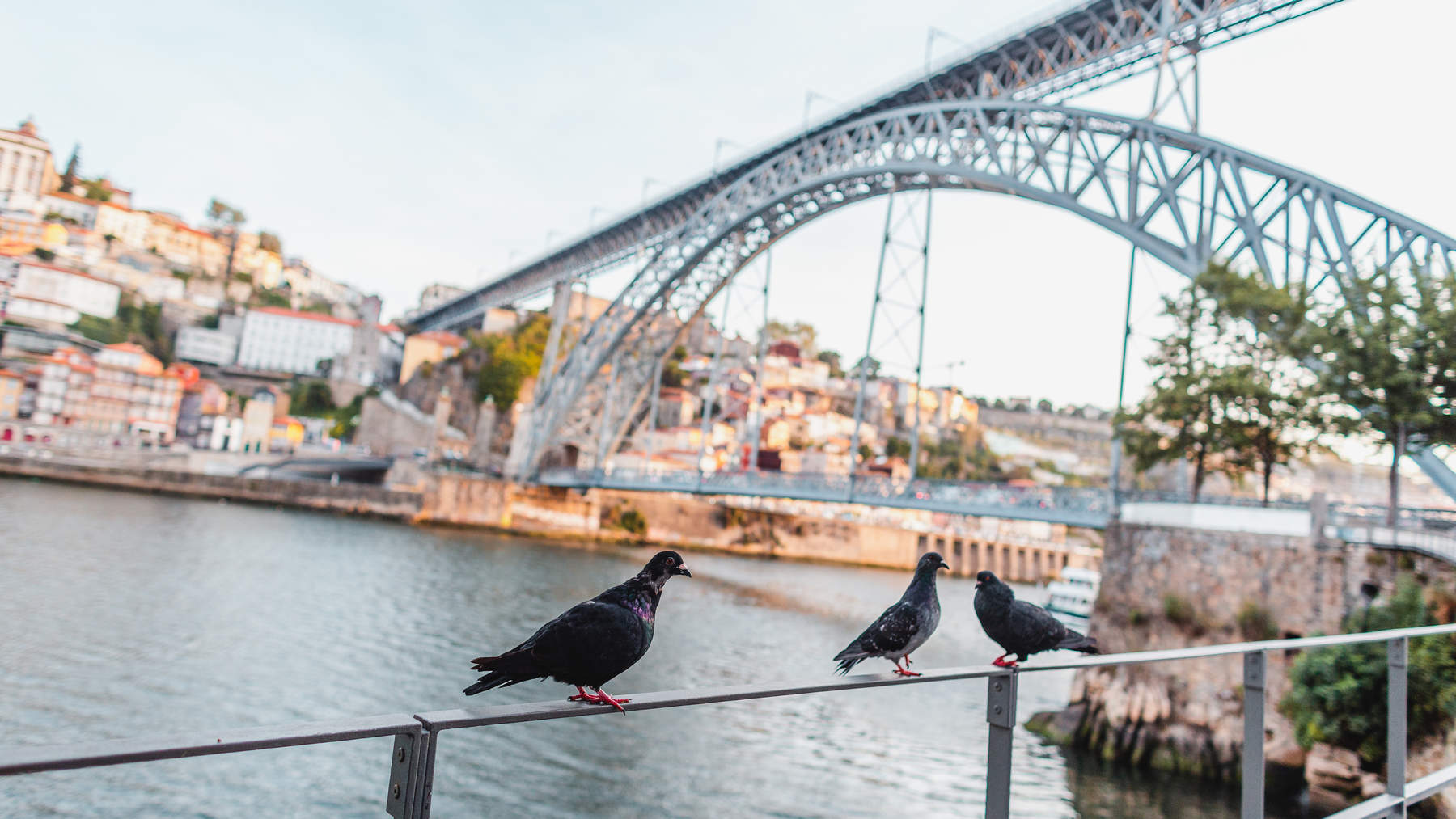 girls-on-tour-porto-travel-photography-104